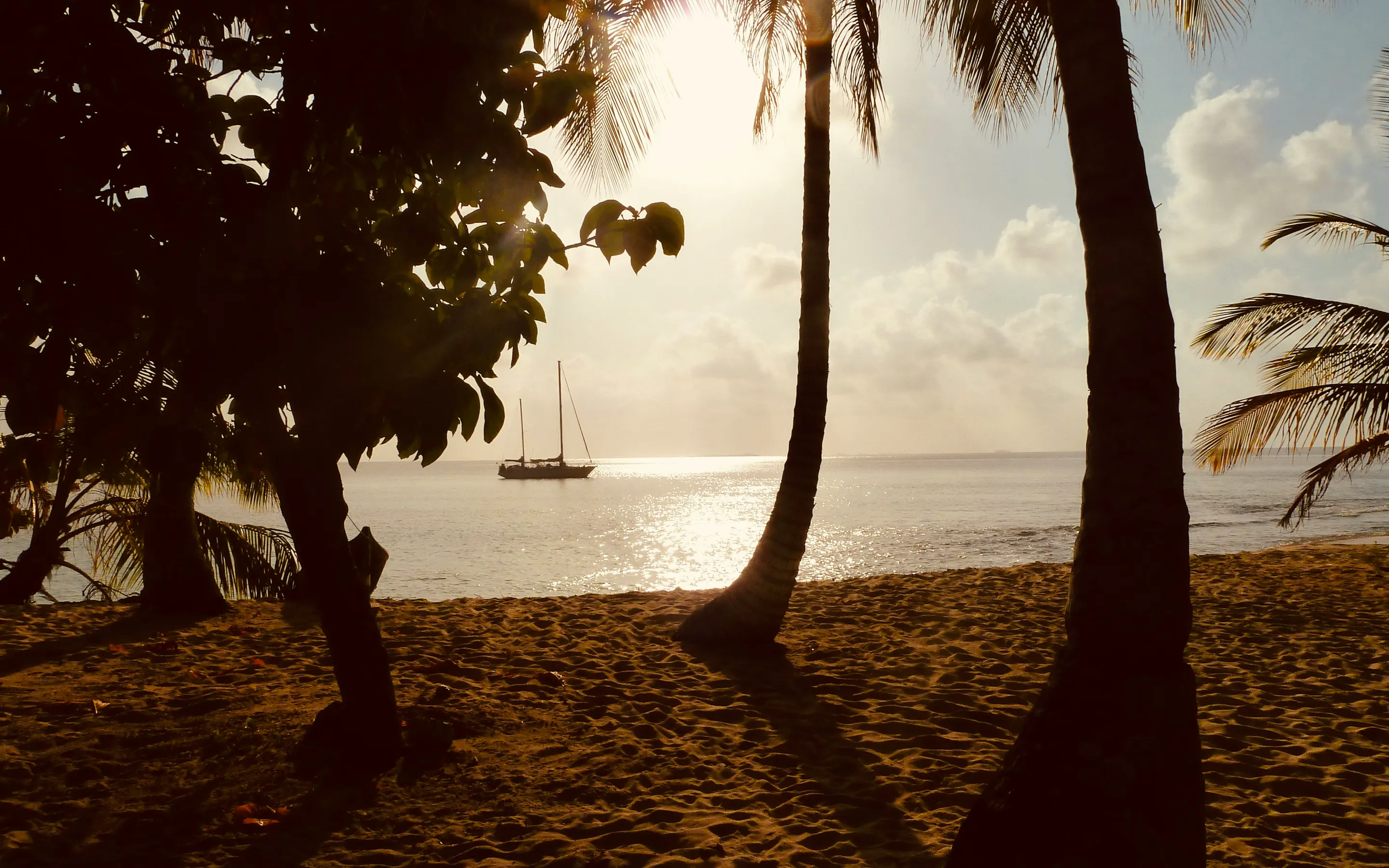 Sailboat anchored off a palm-lined beach at sunset in Guna Yala, Panama