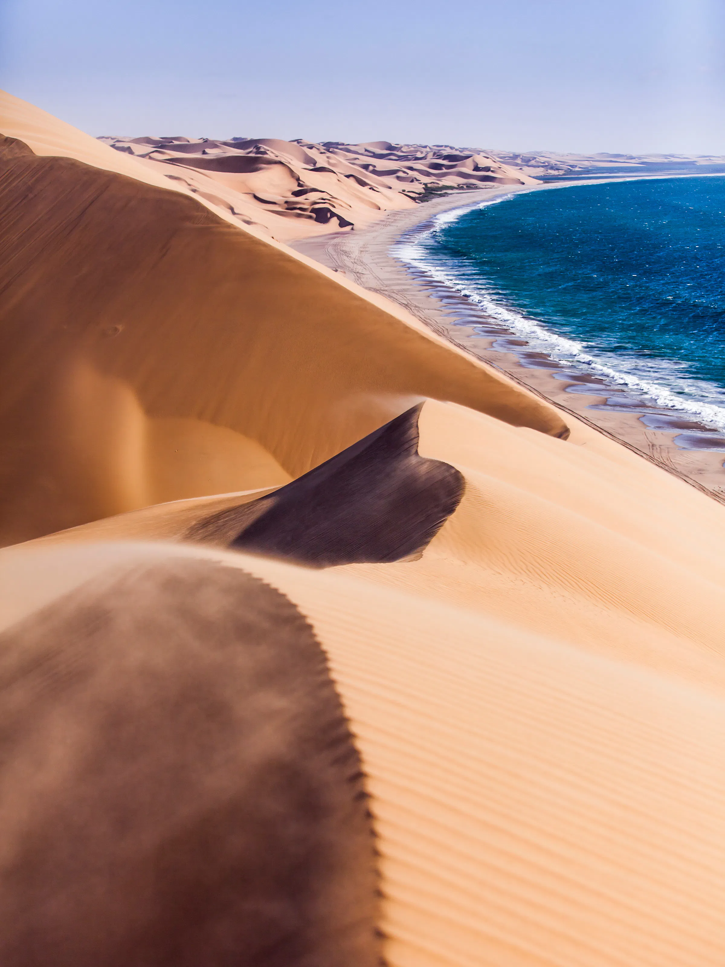 Namib Desert sand dunes meeting Atlantic Ocean, Sandwich Harbour Namibia