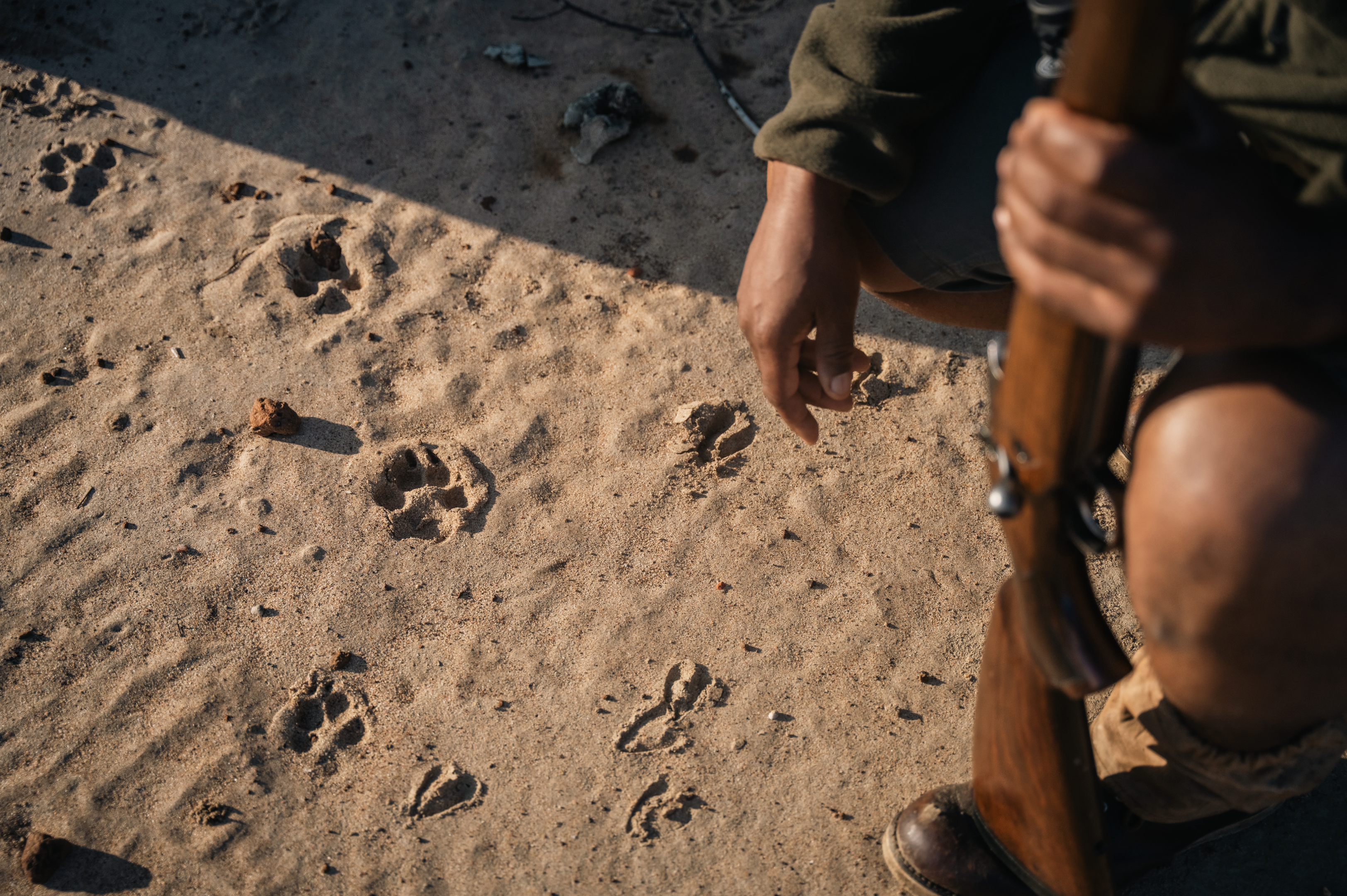 A safari guide pauses to inspect animal tracks in the sand