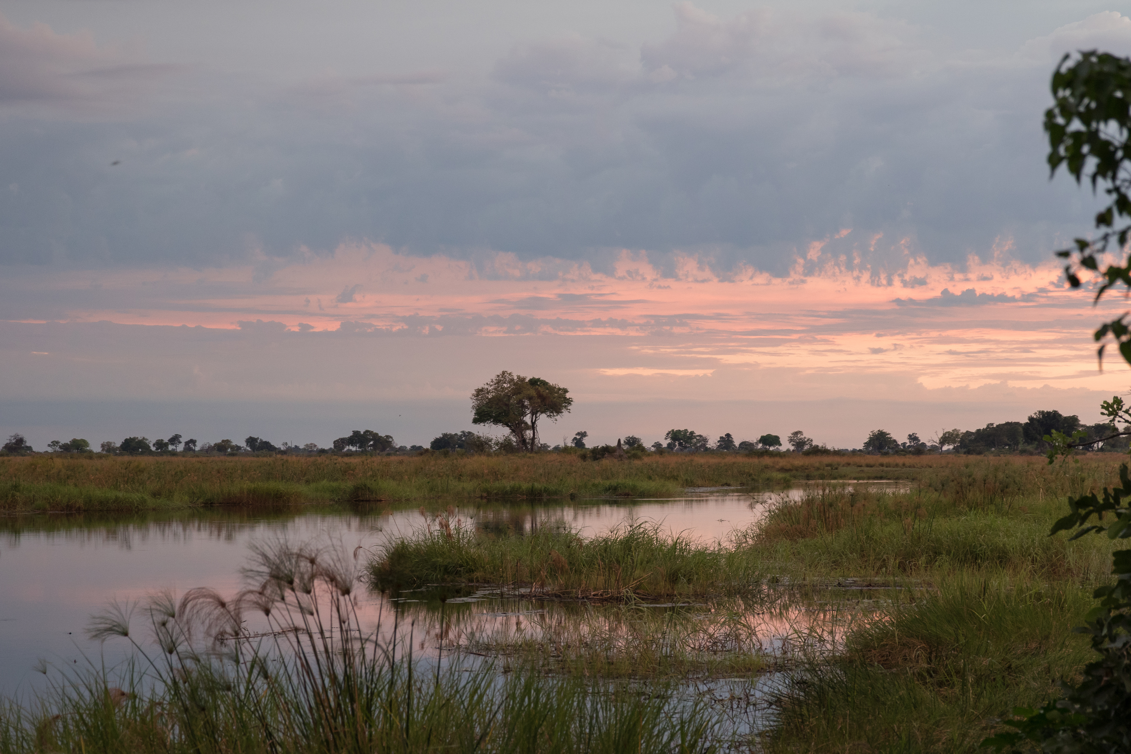 Sunset over the wetland channels of the Linyanti, Botswana