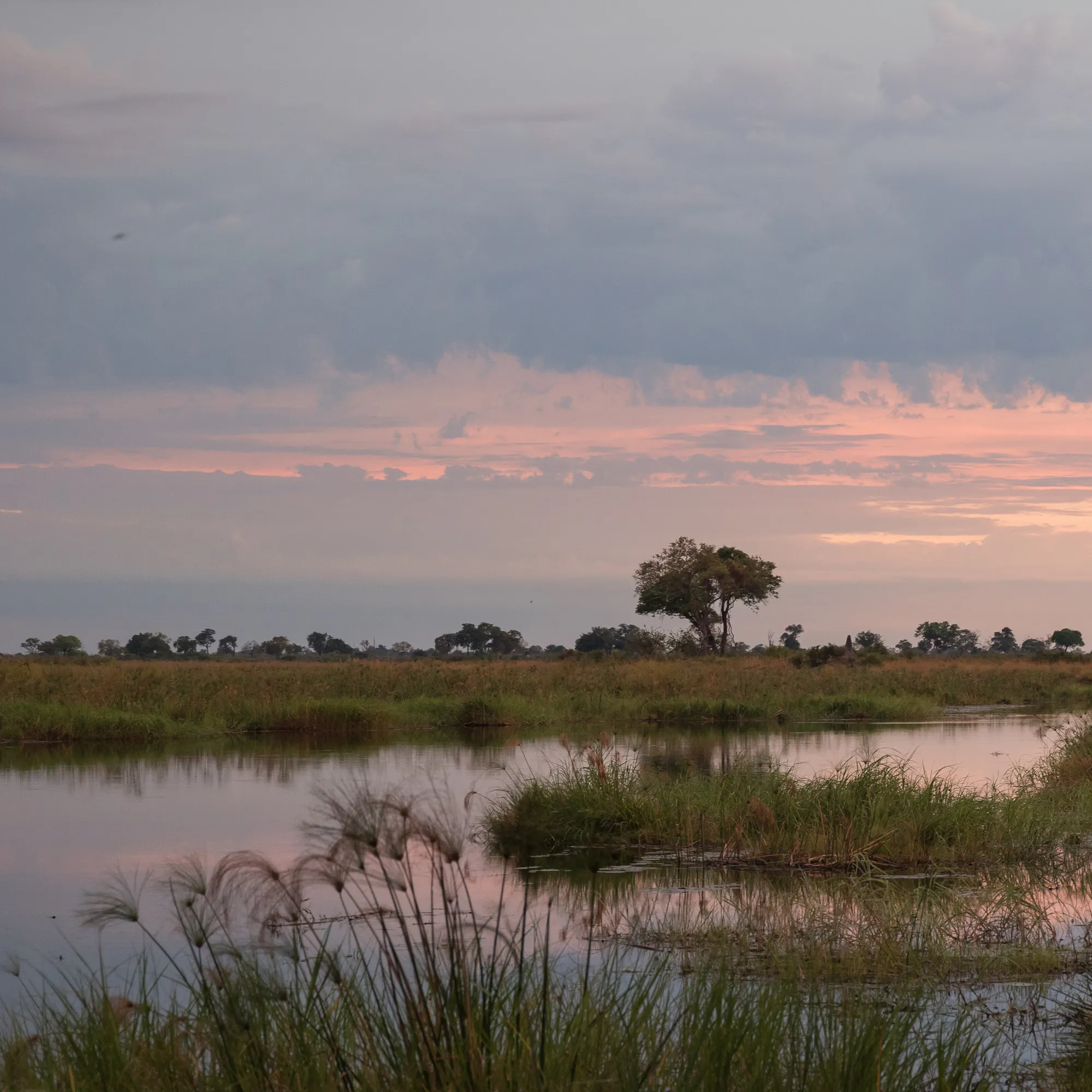 Sunset over the wetland channels of the Linyanti, Botswana