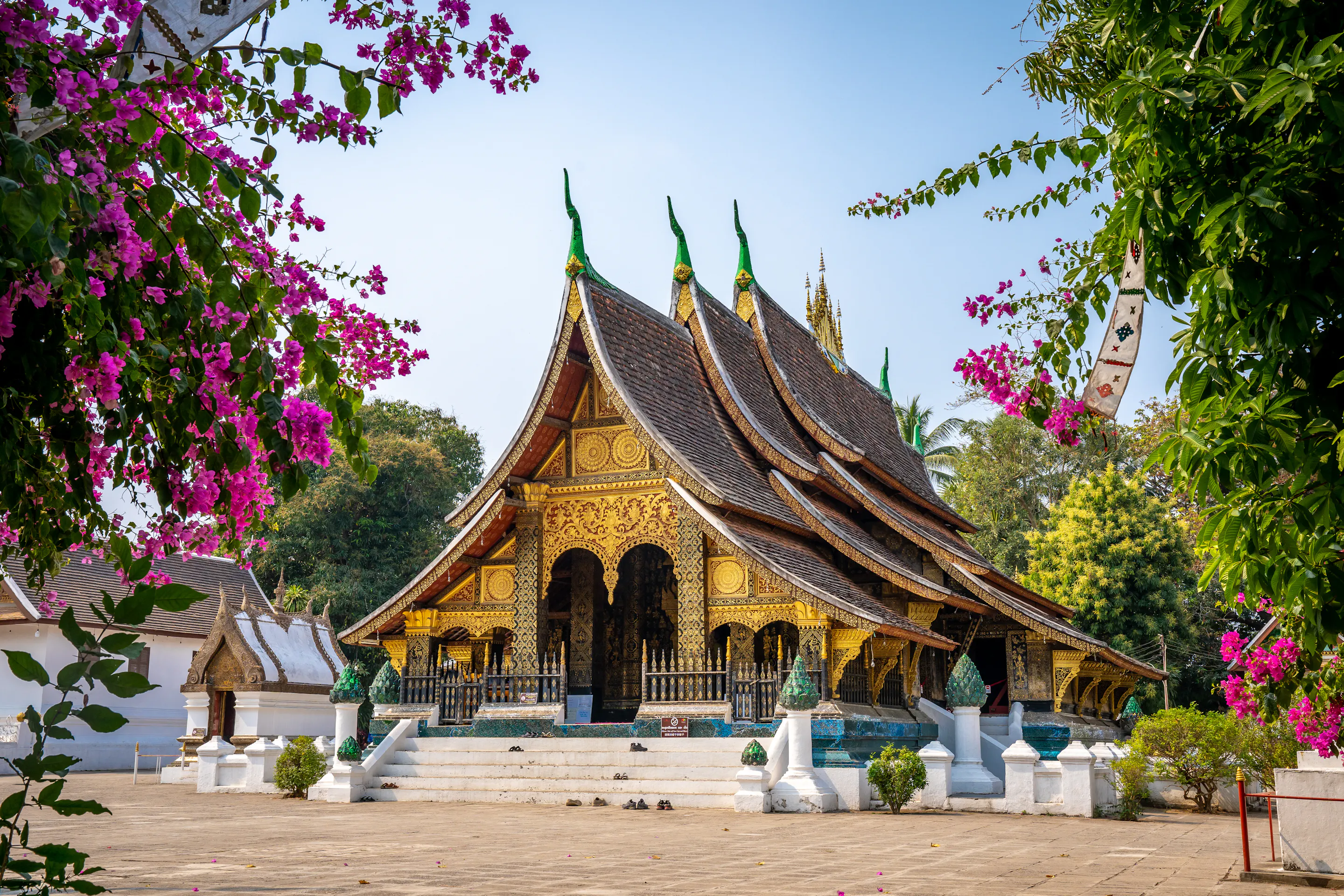 Wat Xieng Thong temple with pink flowers, Luang Prabang Laos