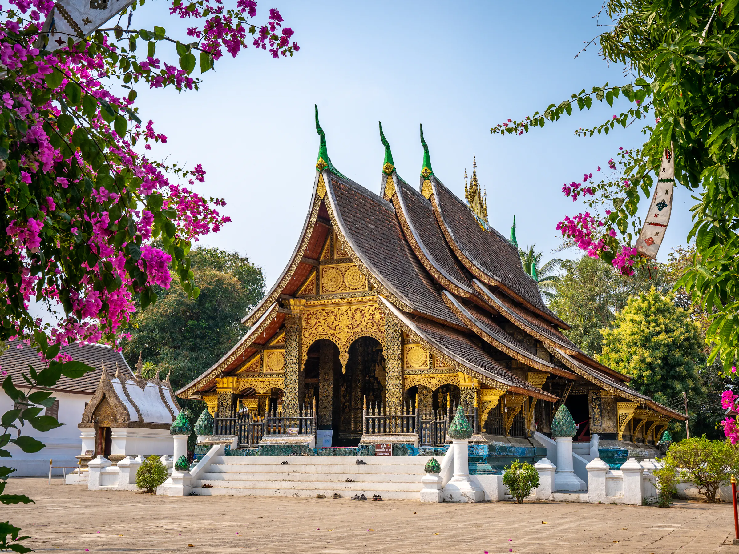 Wat Xieng Thong temple with pink flowers, Luang Prabang Laos