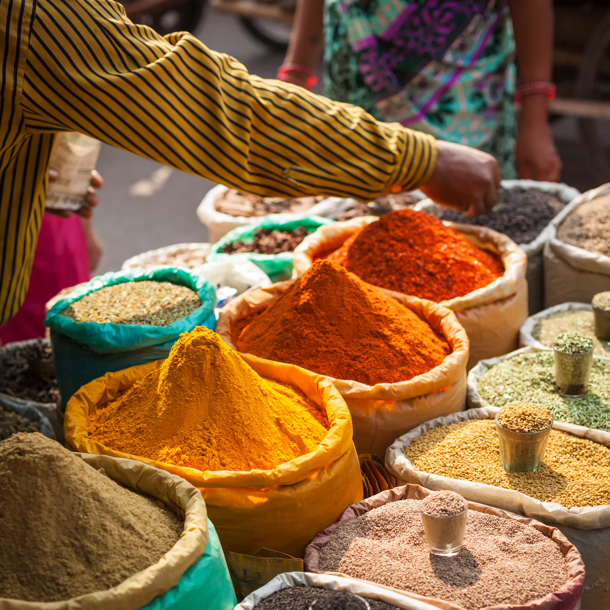 Sacks of turmeric, chili powder, and spices at a Delhi market stall, India