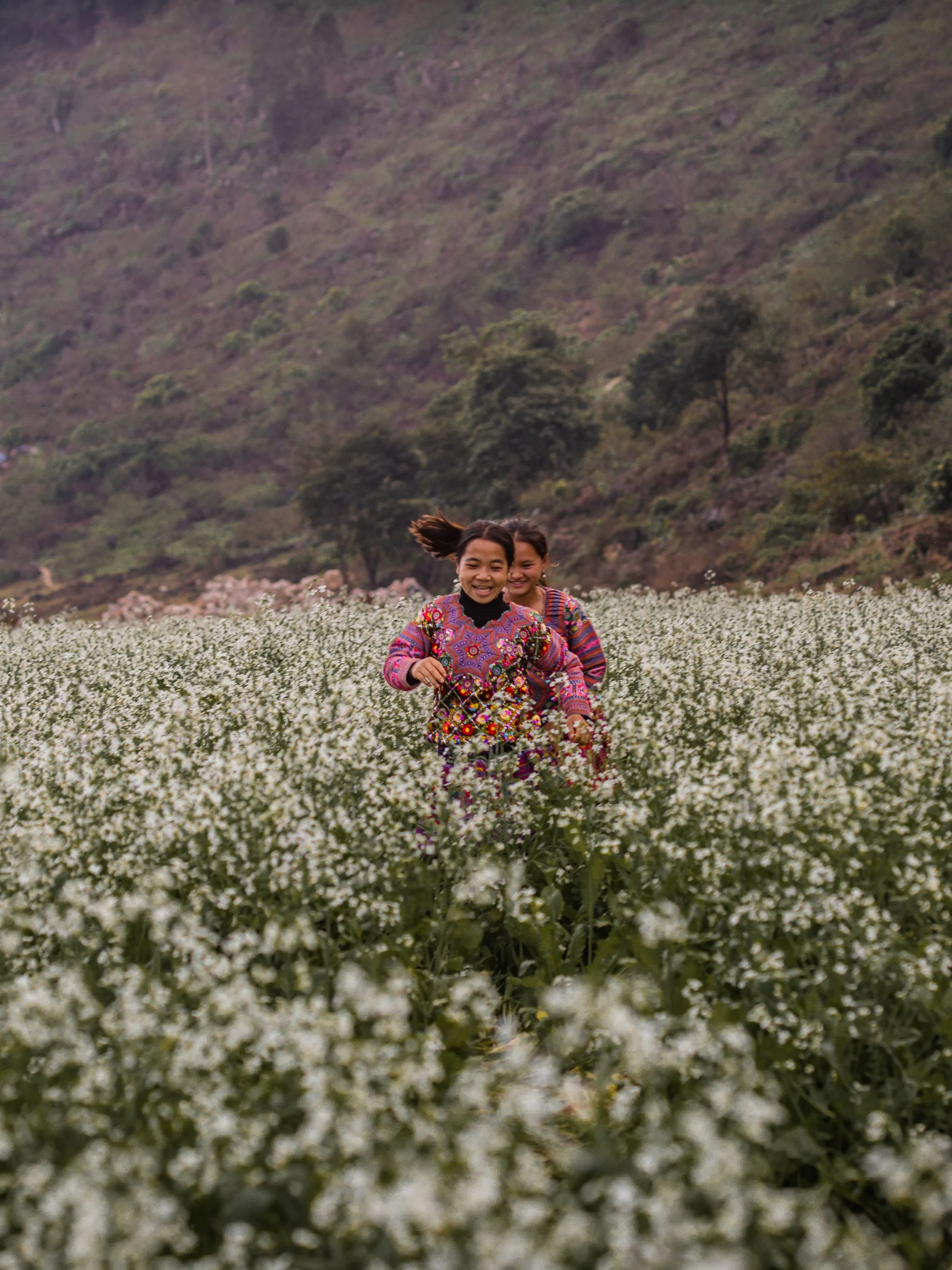 Hmong girls running through white buckwheat flowers, Ha Giang Vietnam