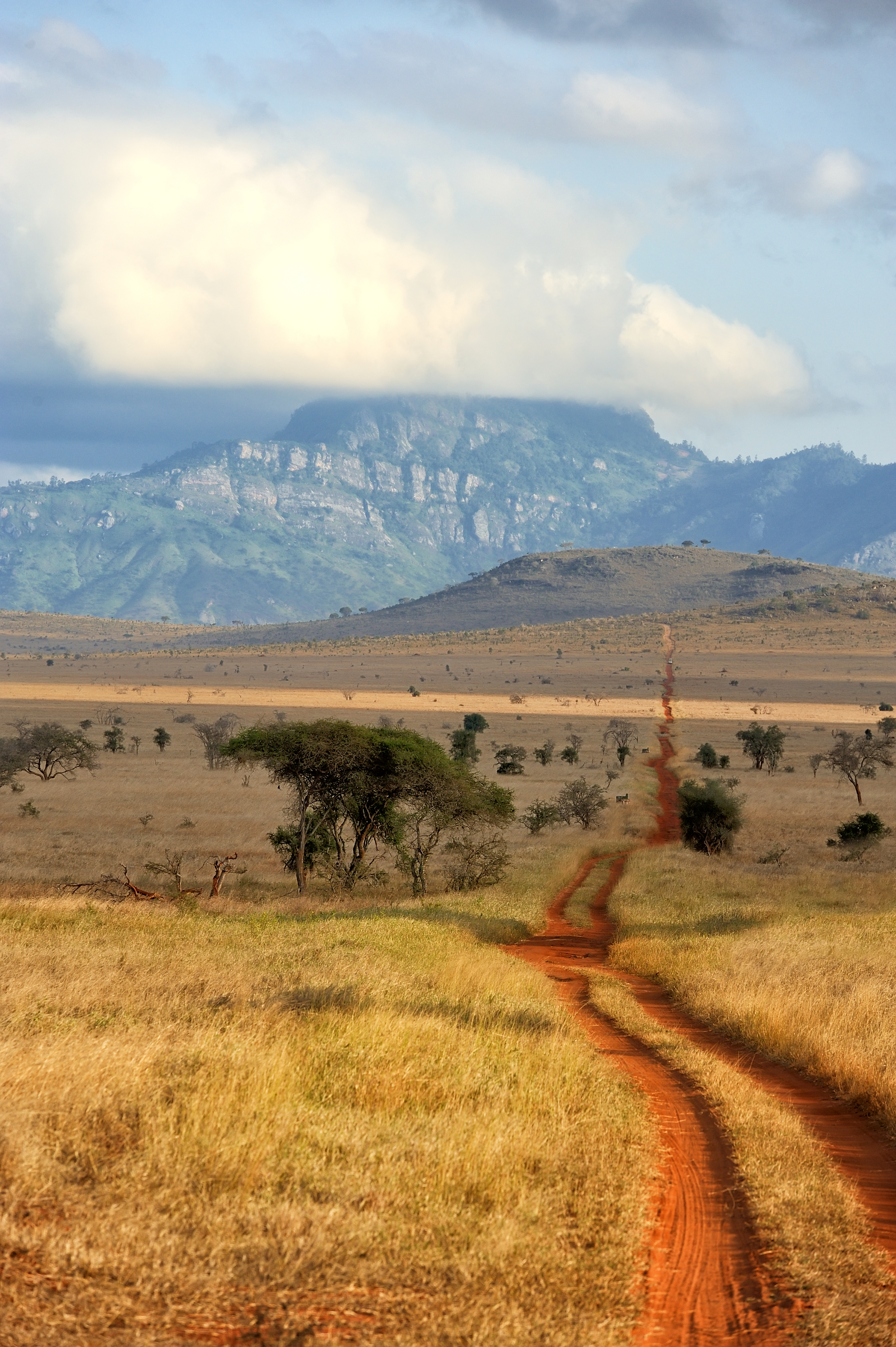 Red dirt track winding toward Yatta Plateau, Tsavo East Kenya