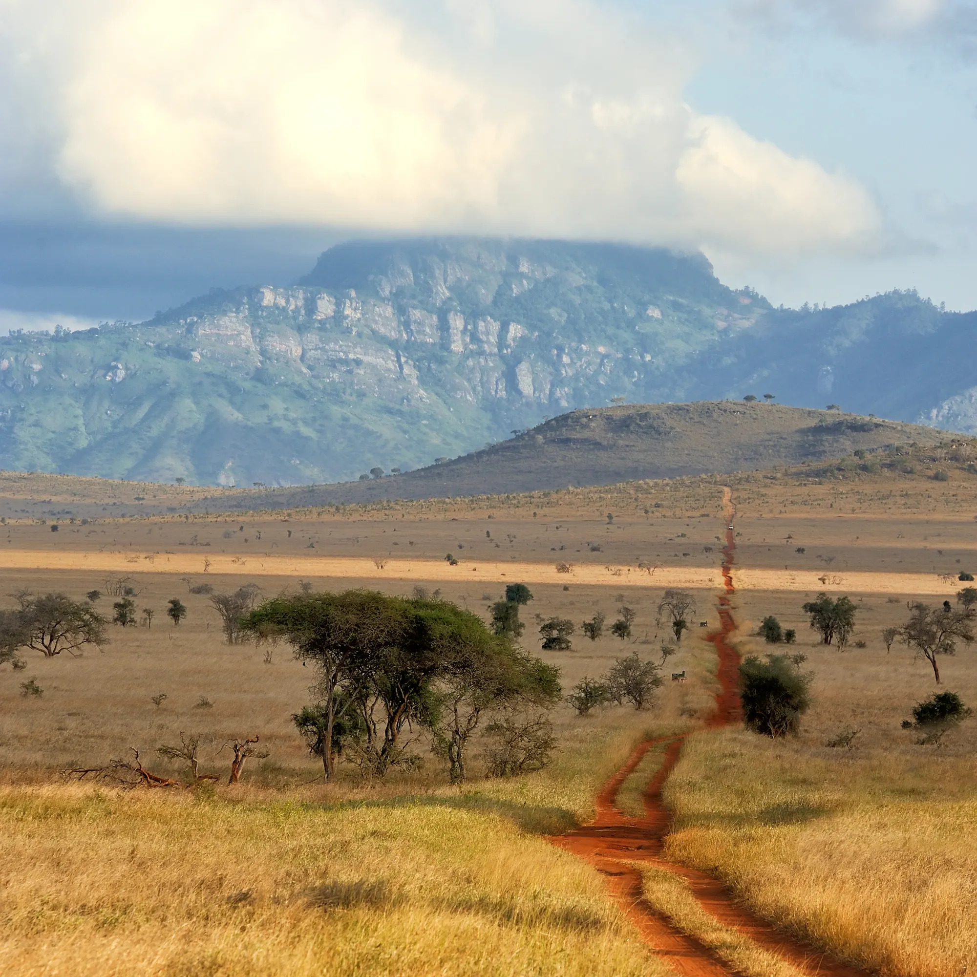 Red dirt track winding toward Yatta Plateau, Tsavo East Kenya