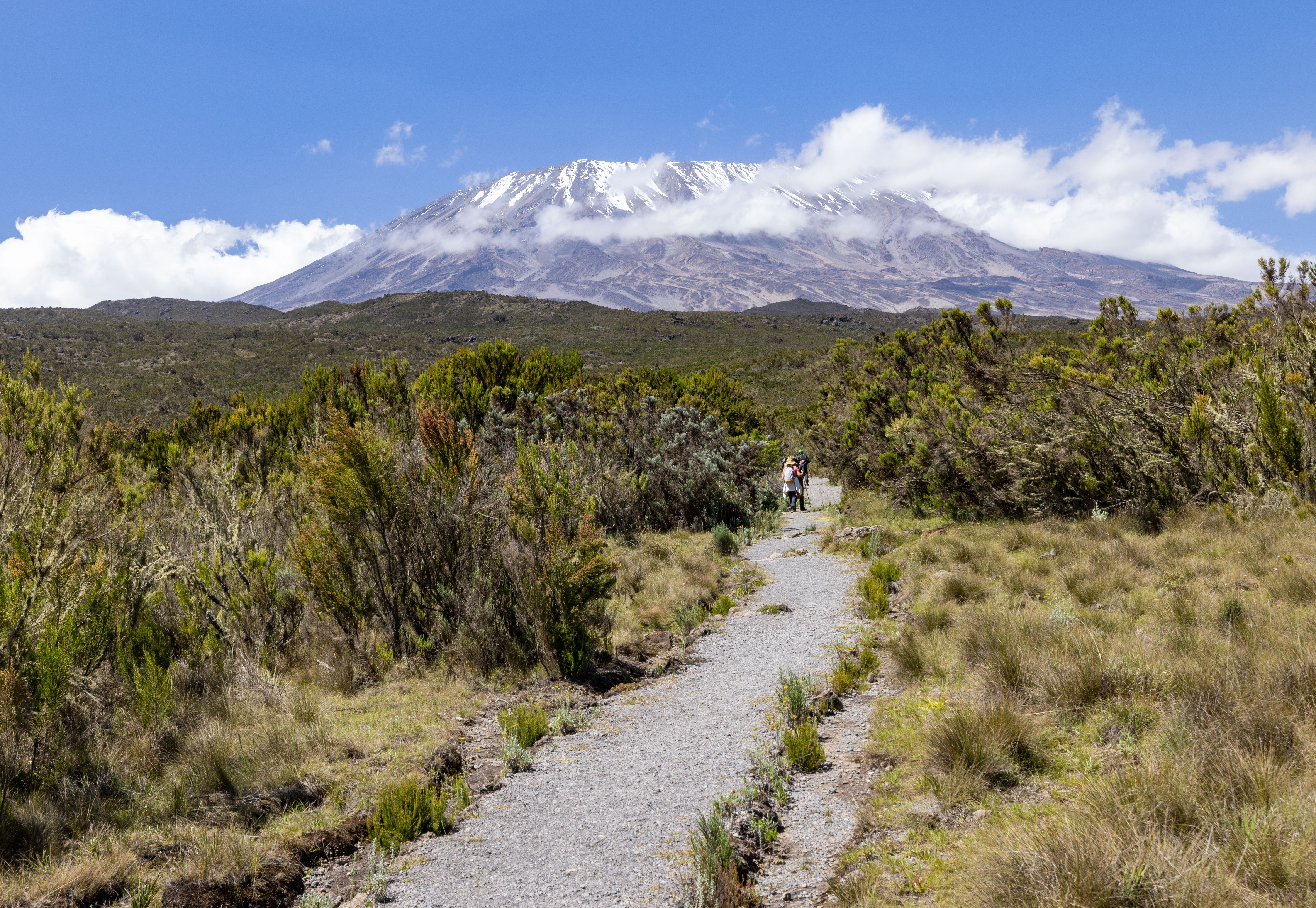 Hikers on trail toward snow-capped Mount Kilimanjaro, Tanzania