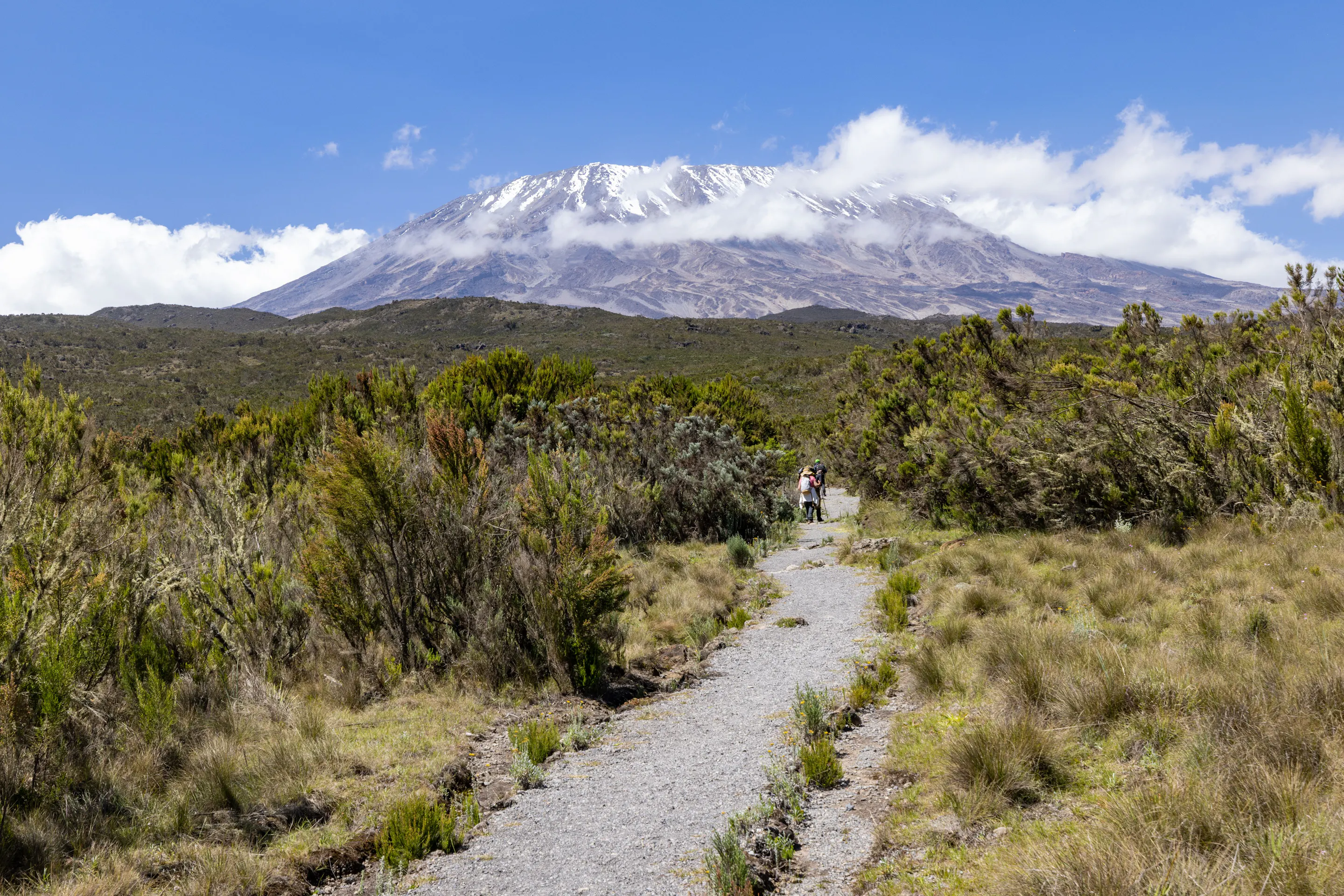 Hikers on trail toward snow-capped Mount Kilimanjaro, Tanzania