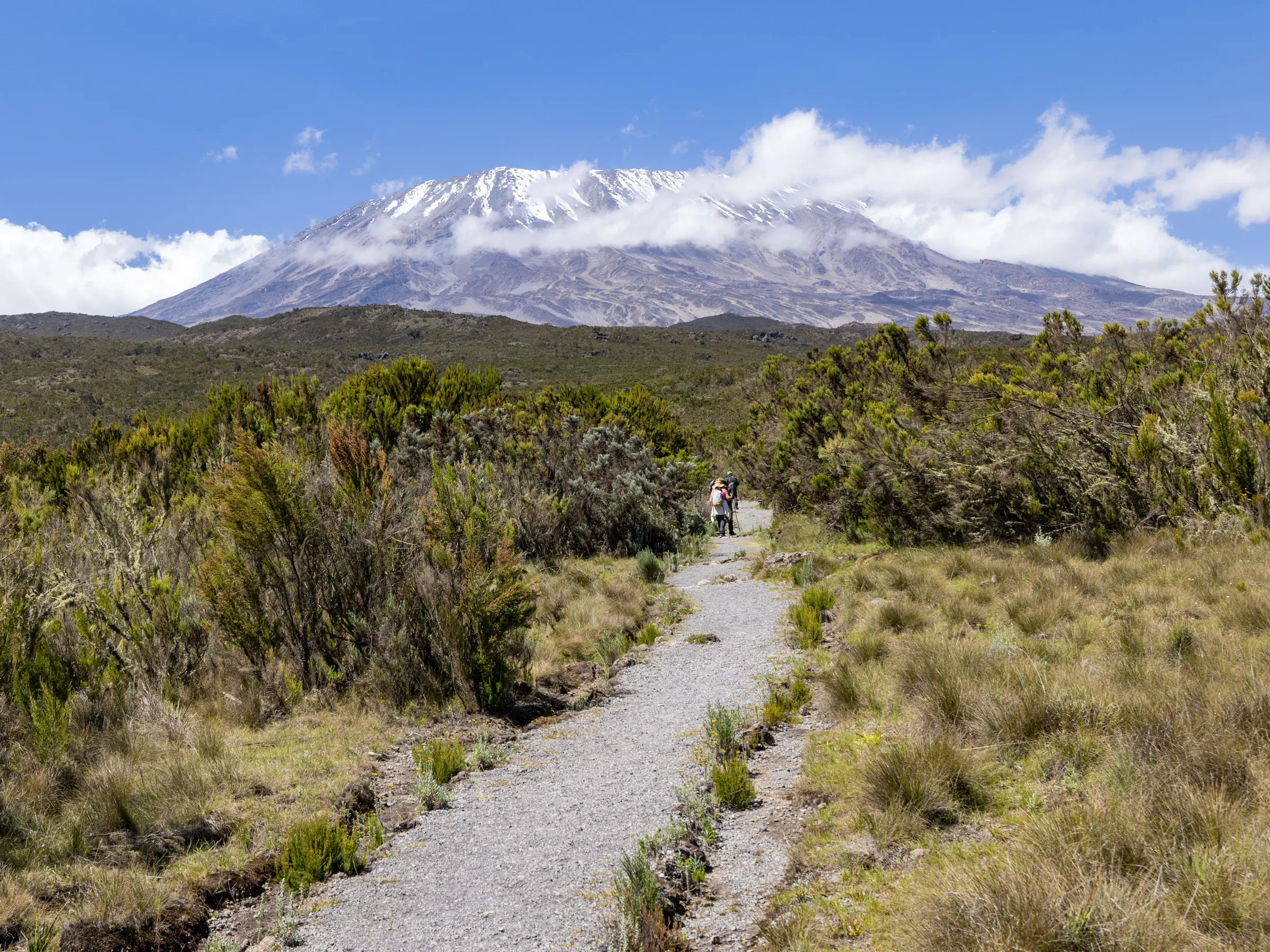 Hikers on trail toward snow-capped Mount Kilimanjaro, Tanzania