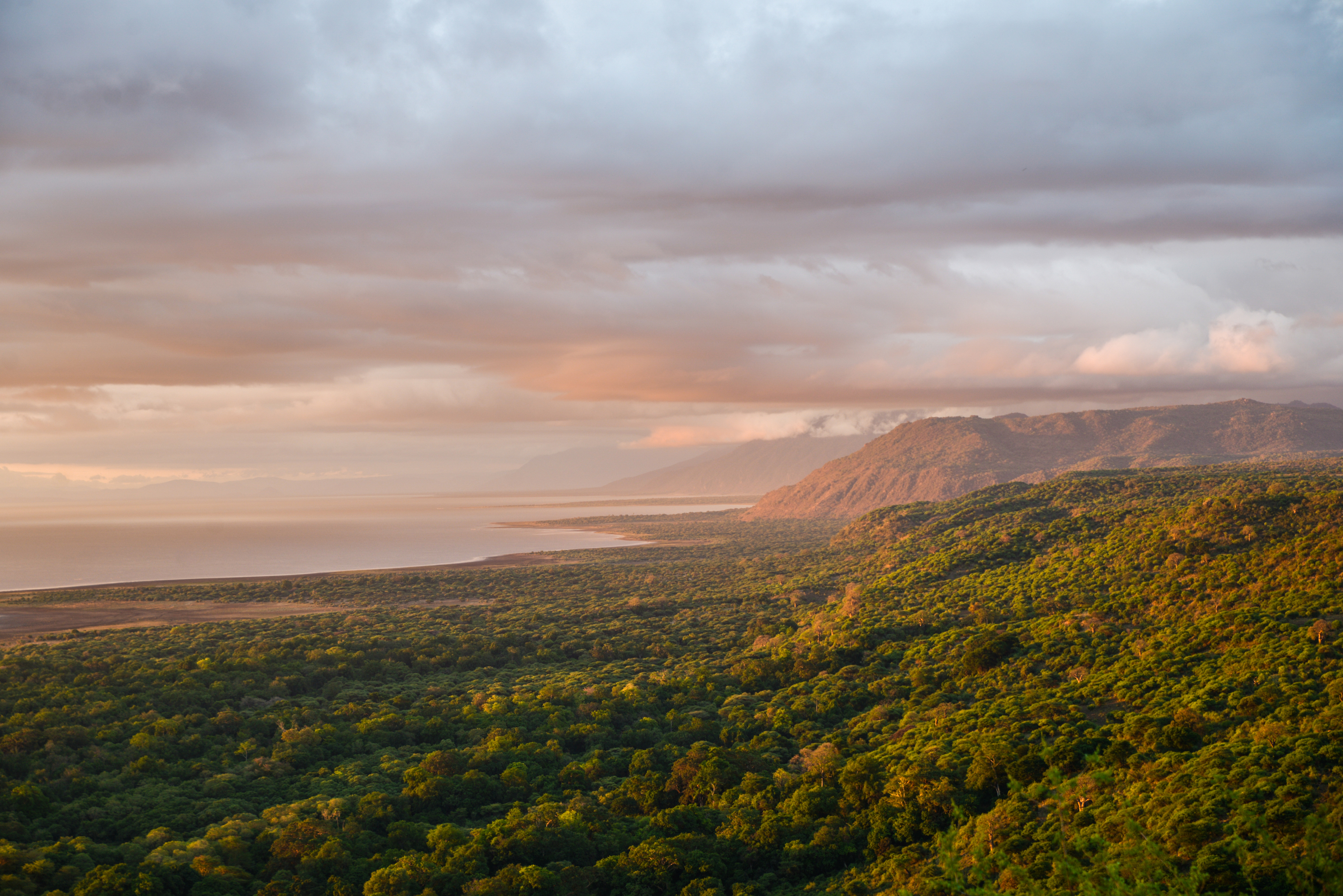 Panoramic sunset view over Tanzania savanna and lake, Africa