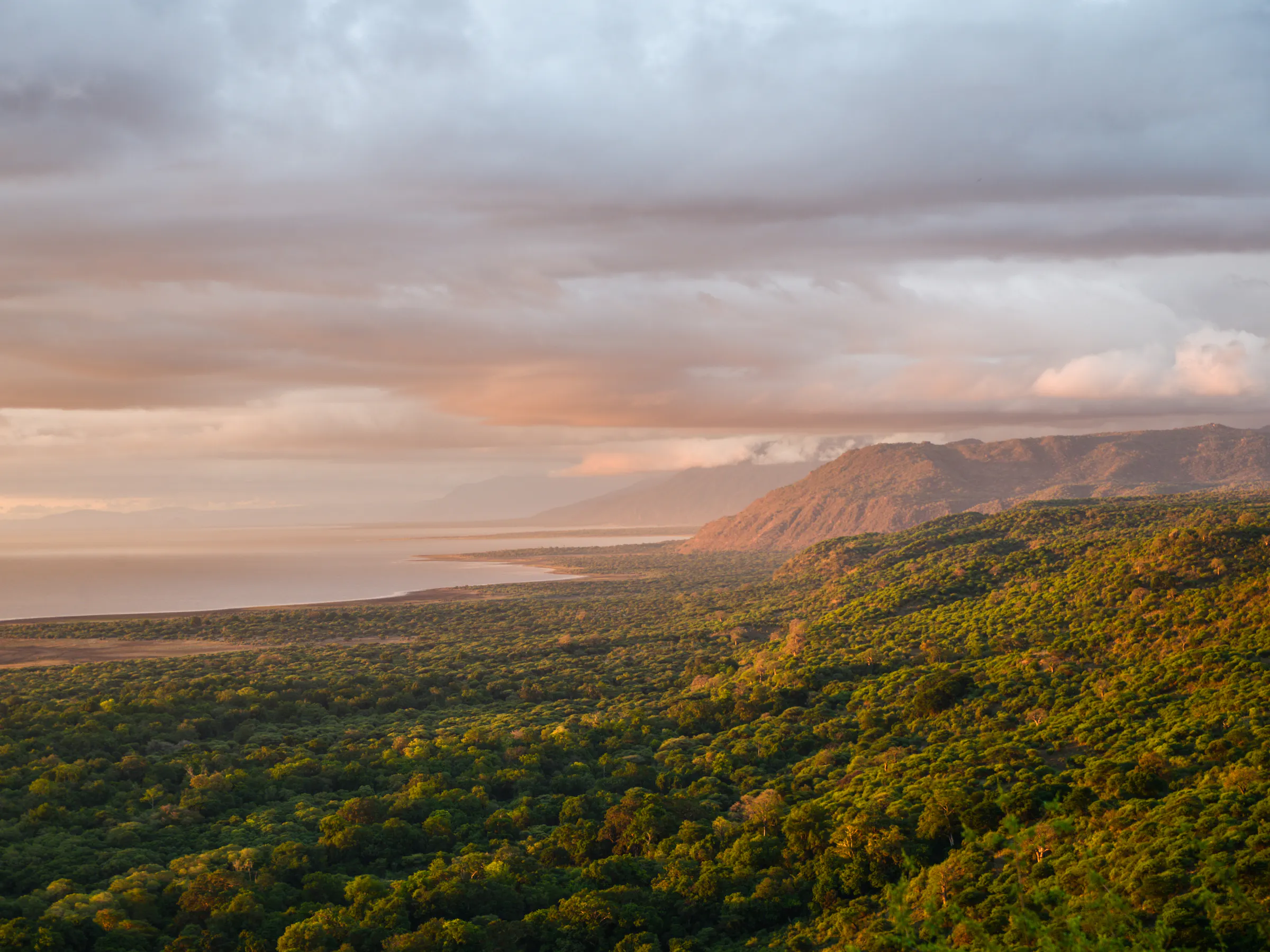 Panoramic sunset view over Tanzania savanna and lake, Africa