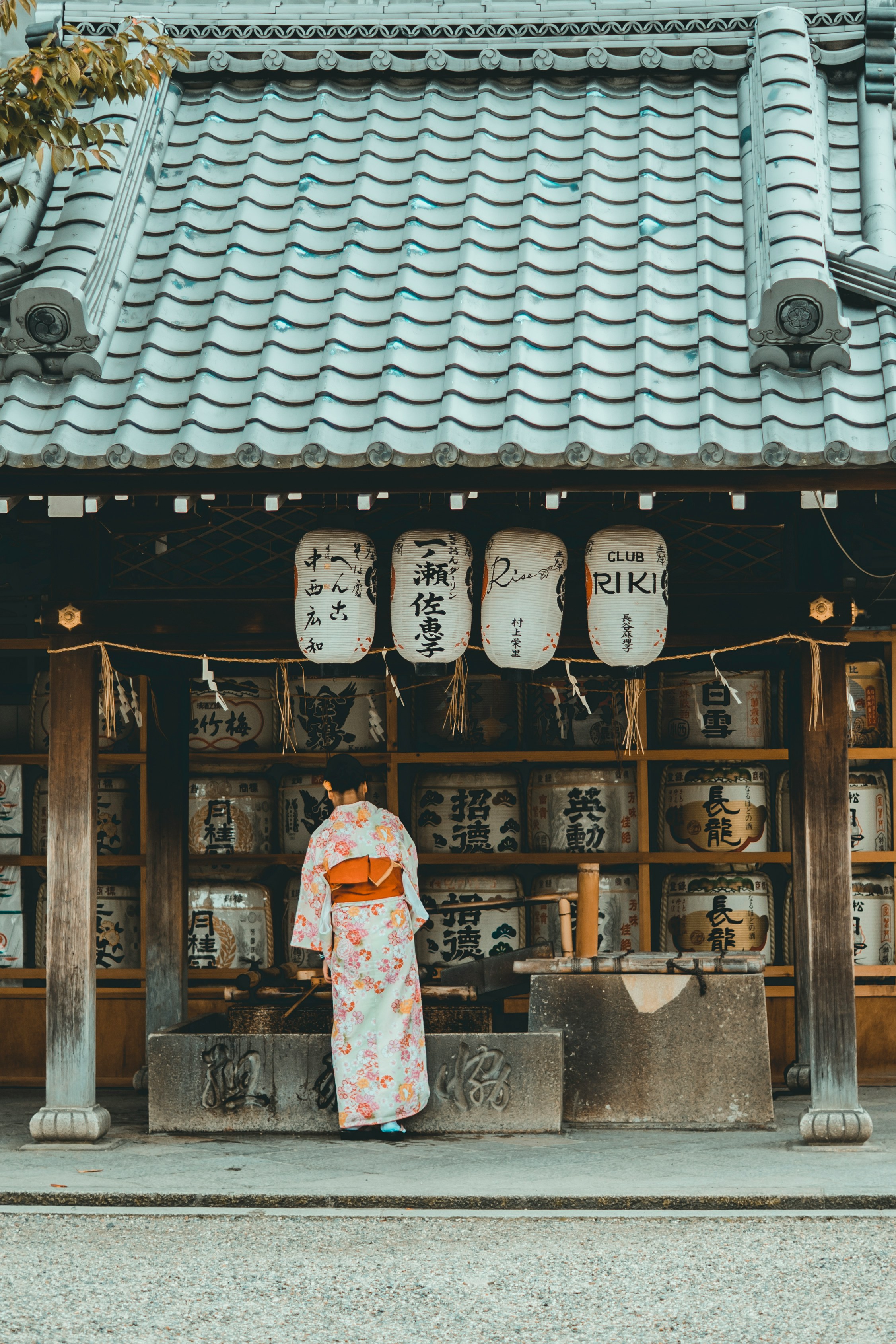 Woman in kimono before sake barrel offerings, Kyoto shrine Japan
