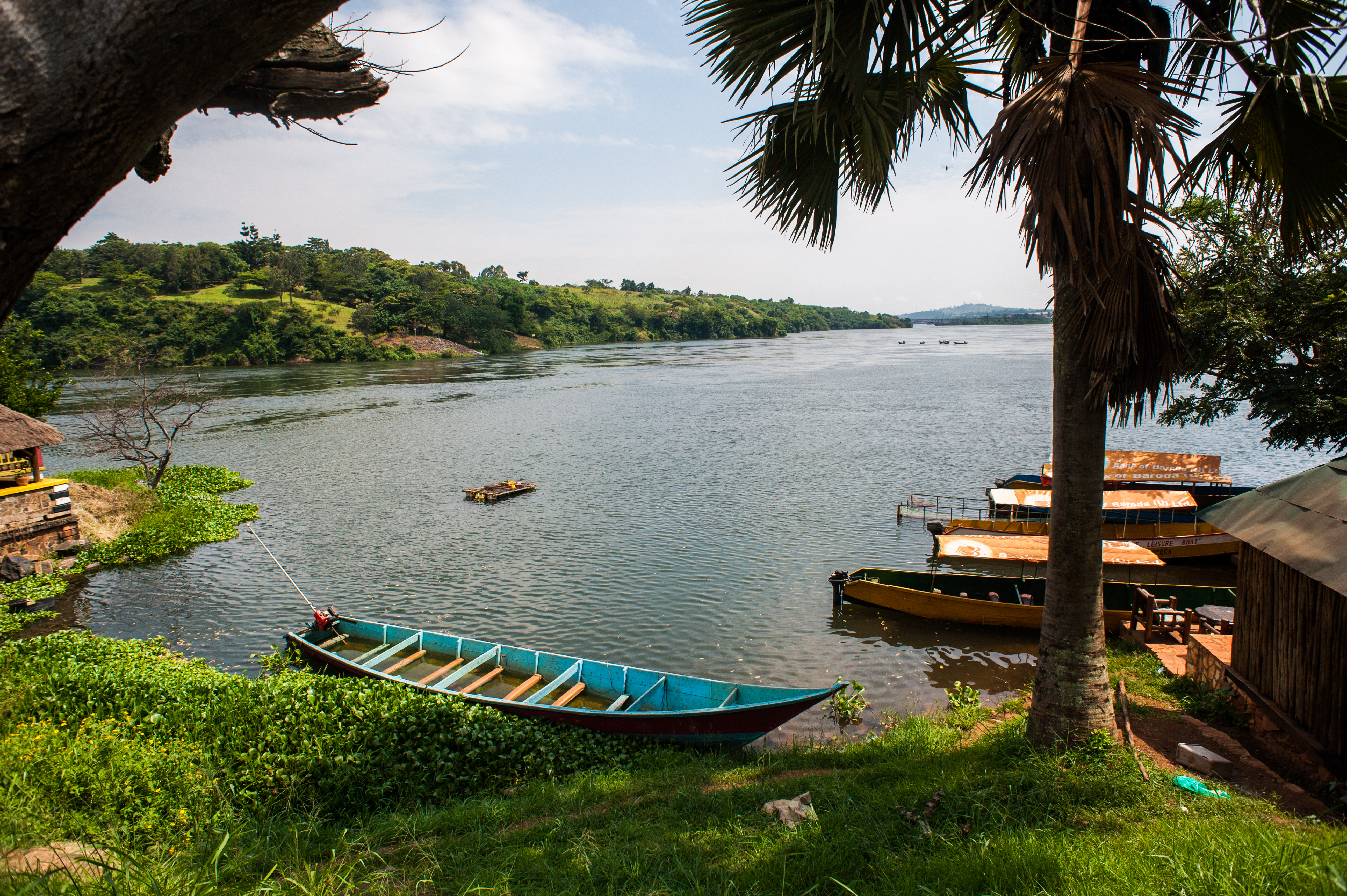 Wooden boats moored along the Nile River in Jinja, Uganda