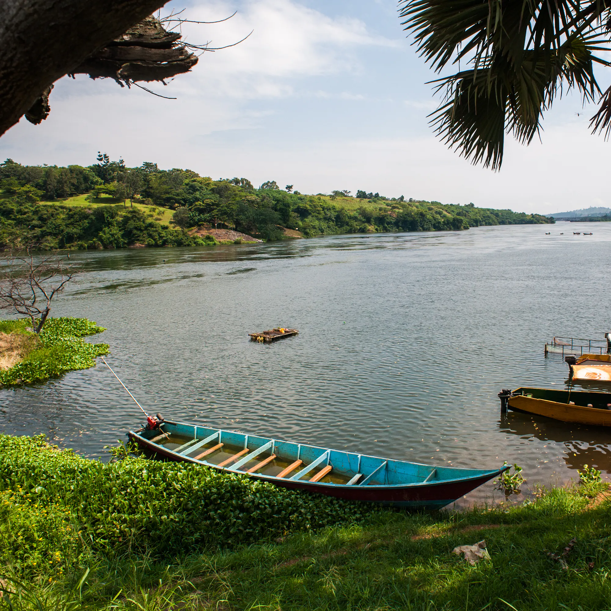 Wooden boats moored along the Nile River in Jinja, Uganda