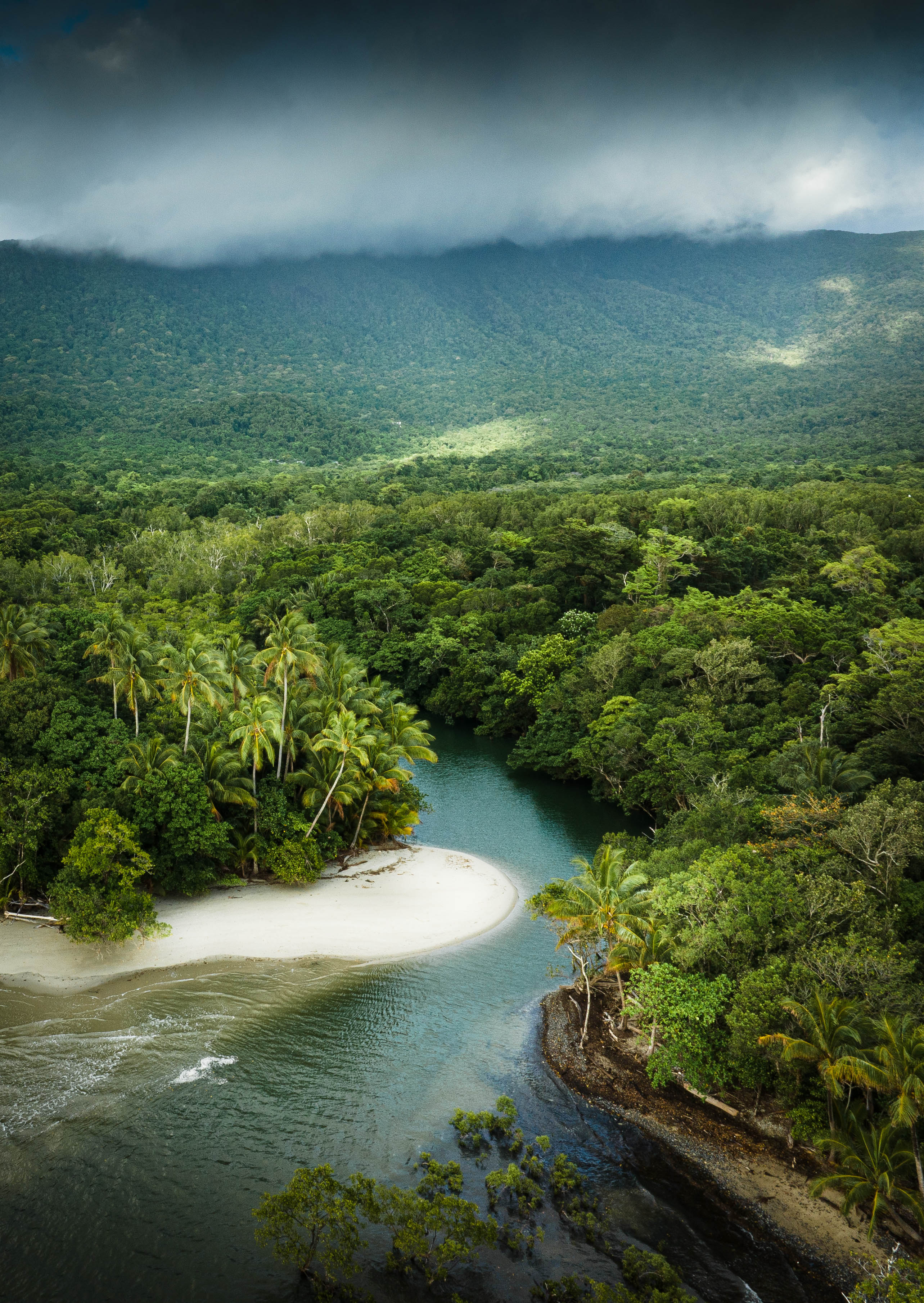 Aerial view of river meeting sea, Cape Tribulation Daintree Australia