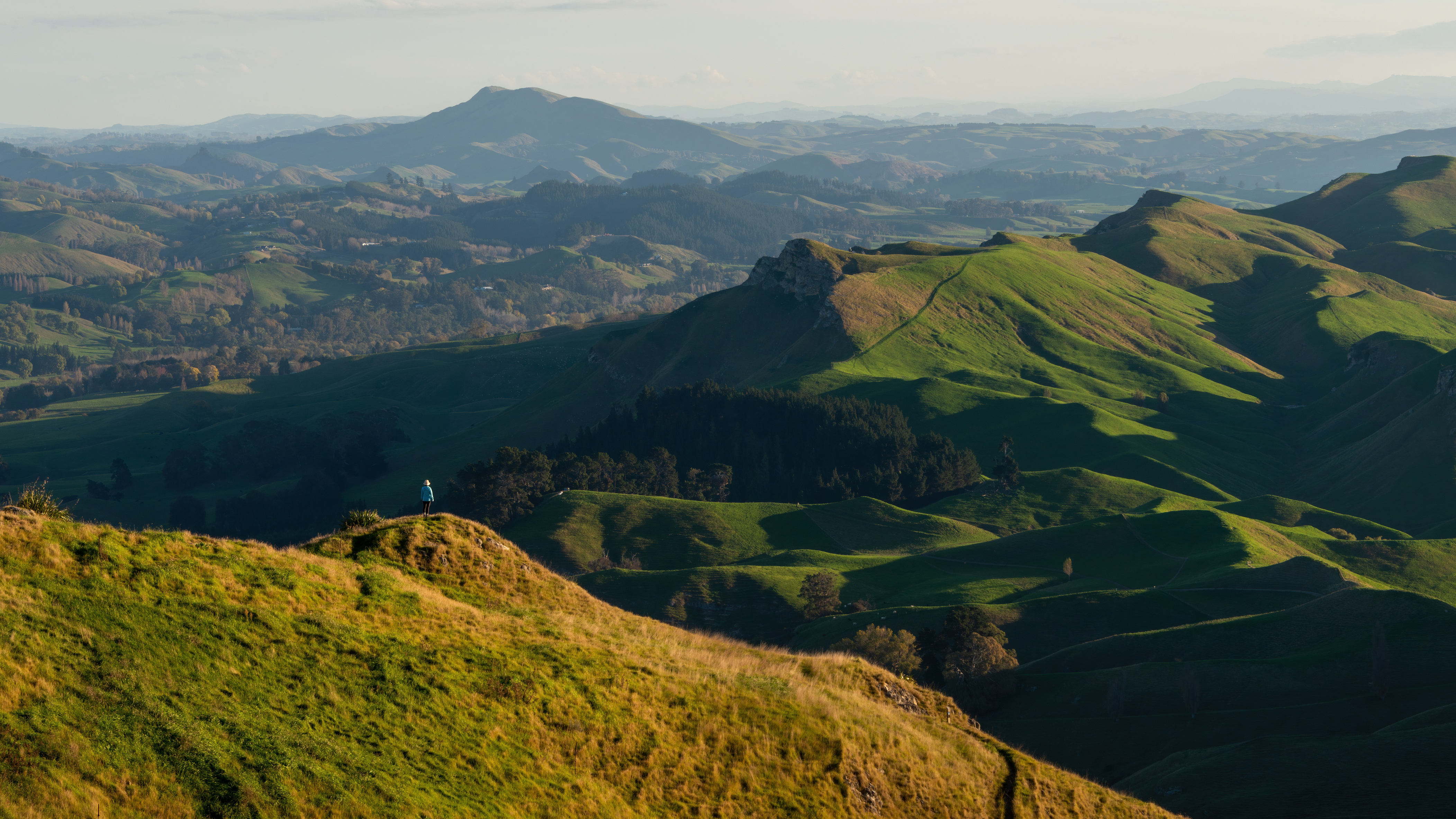 Hiker overlooking Te Mata Peak's rolling green hills in Hawke's Bay, New Zealand