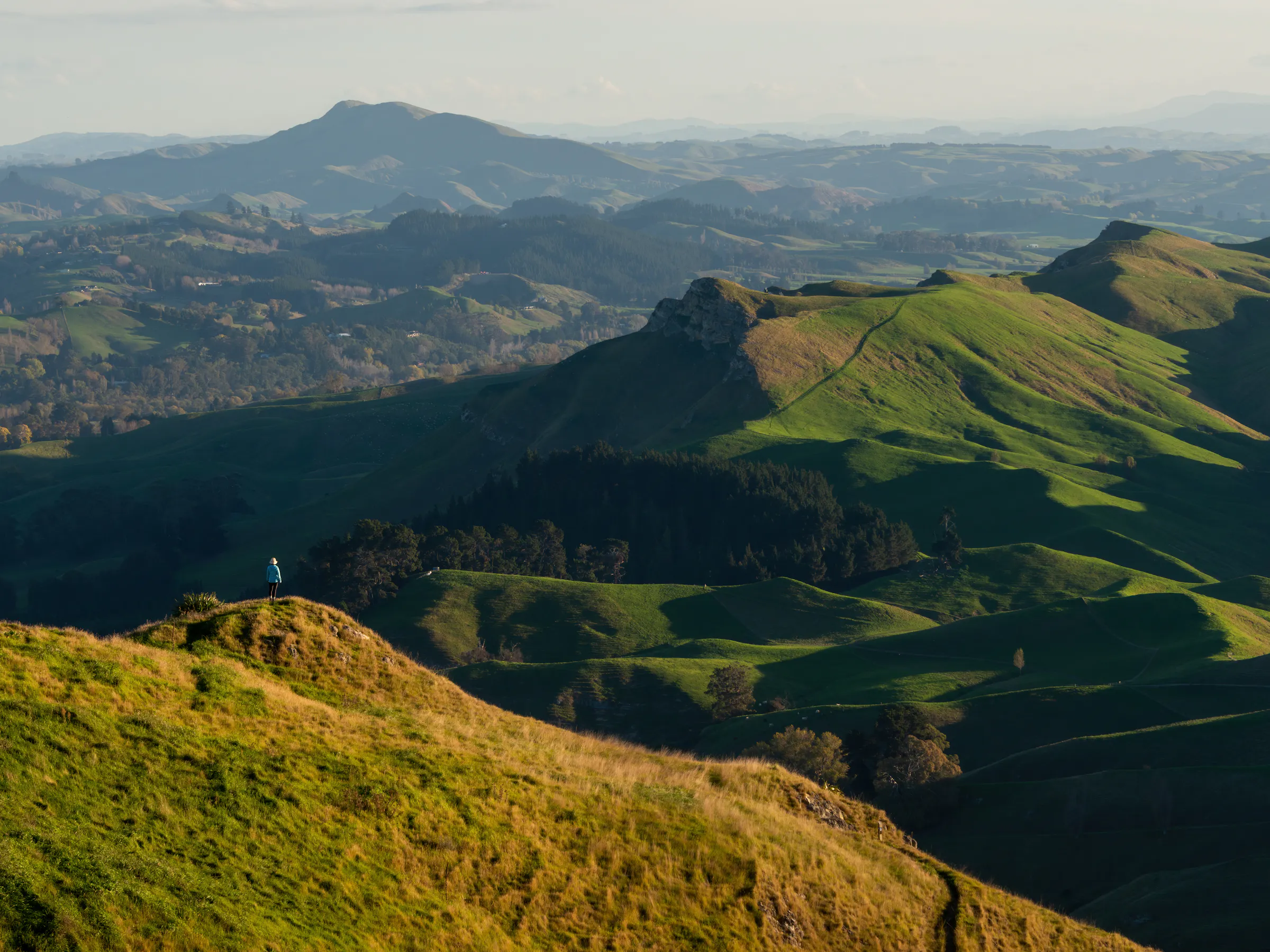 Hiker overlooking Te Mata Peak's rolling green hills in Hawke's Bay, New Zealand