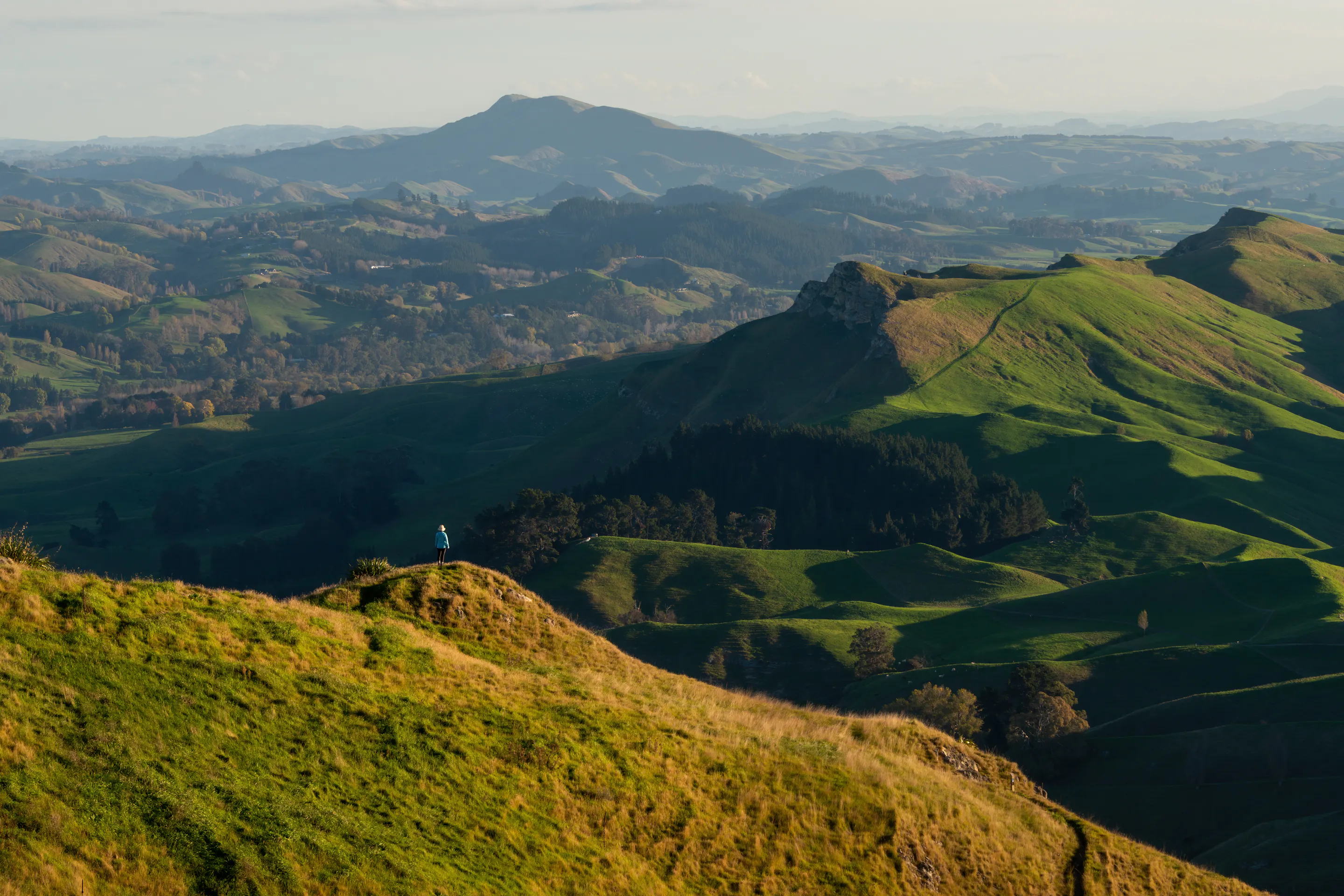 Hiker overlooking Te Mata Peak's rolling green hills in Hawke's Bay, New Zealand