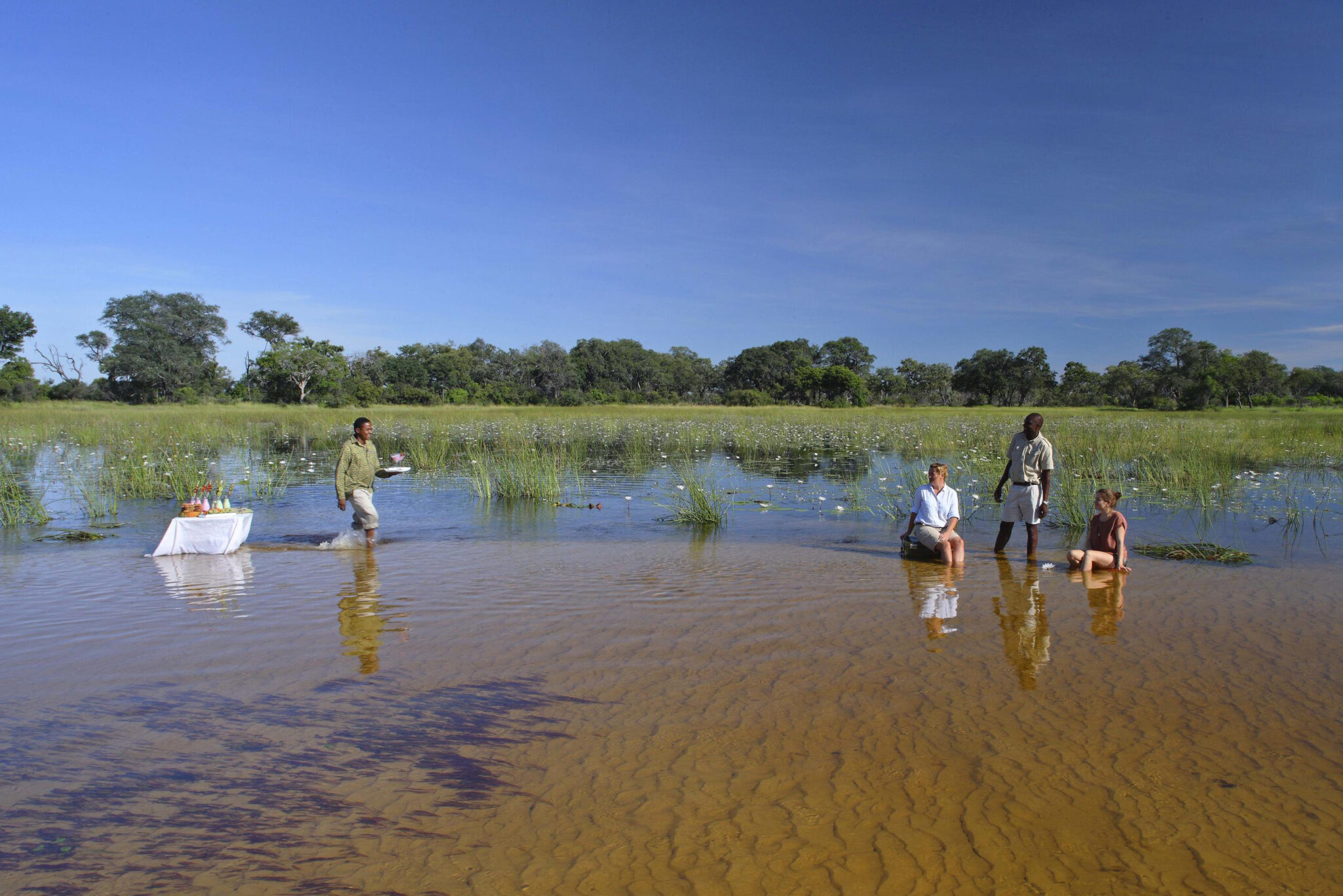 Guests wade in a shallow flooded Okavango floodplain among lilies as staff bring sundowner drinks.