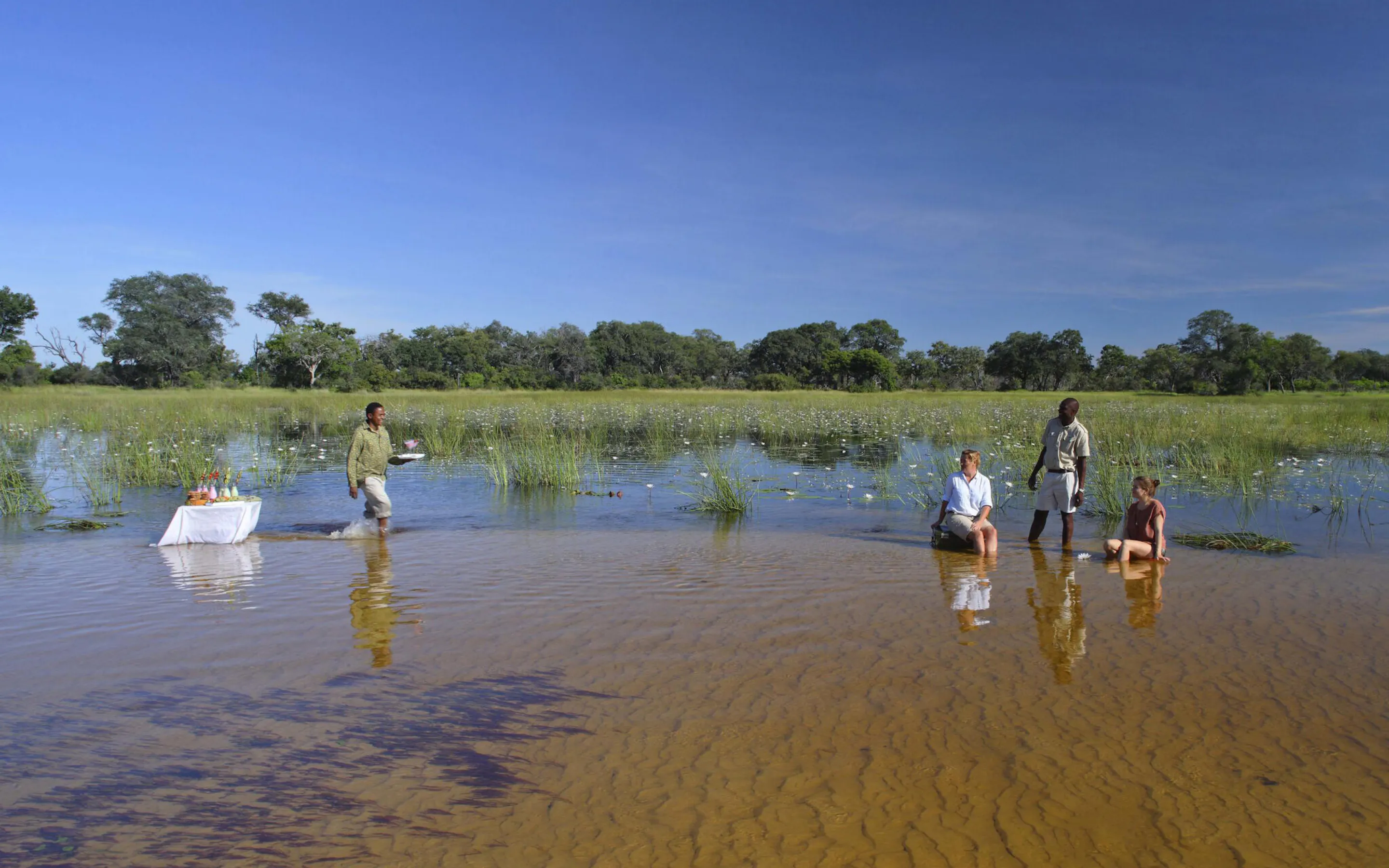 Guests wade in a shallow flooded Okavango floodplain among lilies as staff bring sundowner drinks.