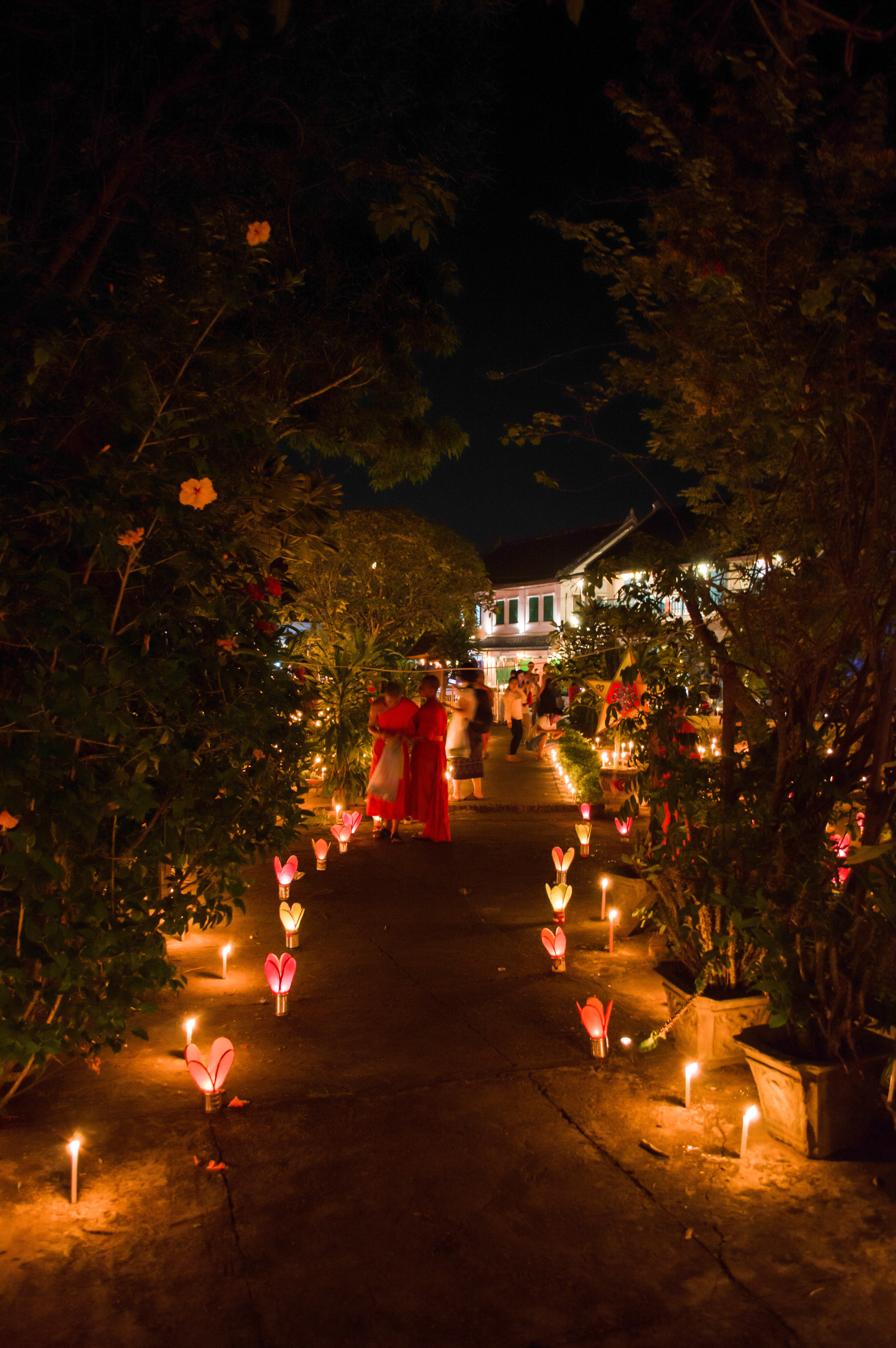 Monks in orange robes walk along a candlelit garden path in Luang Prabang, Laos, lined with glowing lotus-shaped paper lanterns