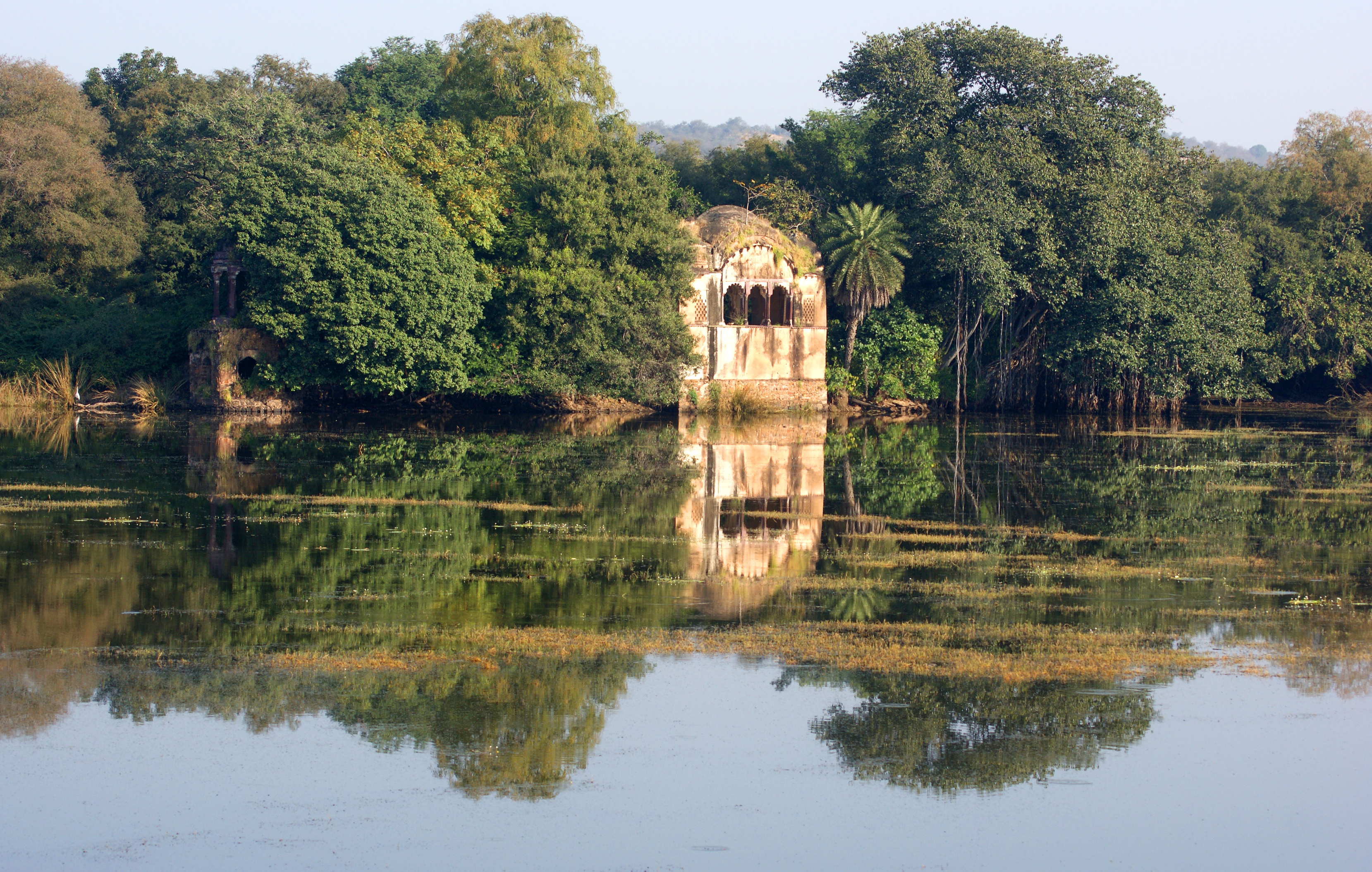 Ruined pavilion reflected in a lake at Ranthambore National Park, India