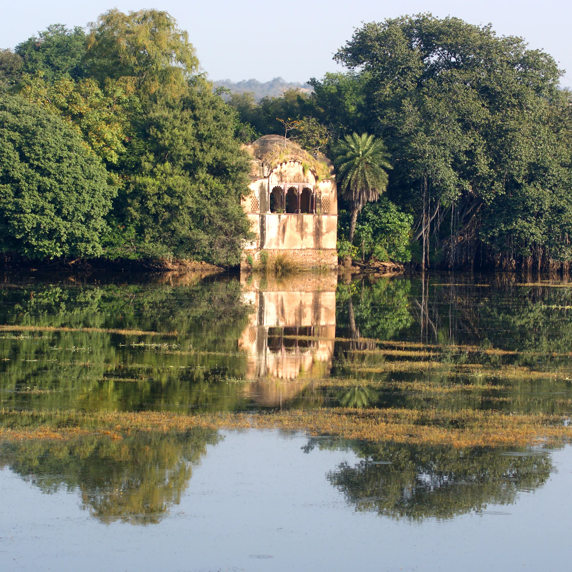 Ruined pavilion reflected in a lake at Ranthambore National Park, India