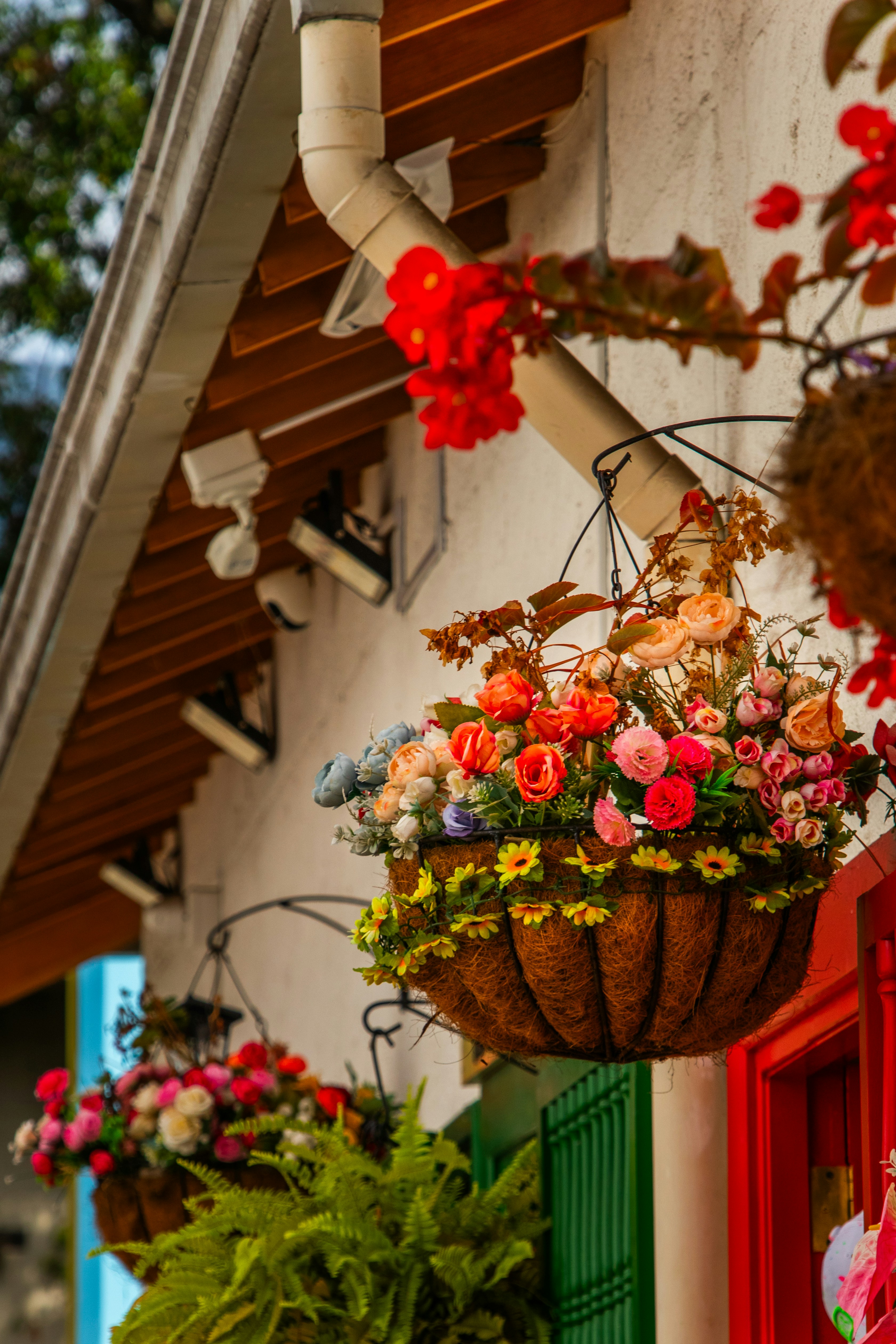 Colorful hanging flower baskets decorating a balcony in Medellín, Colombia