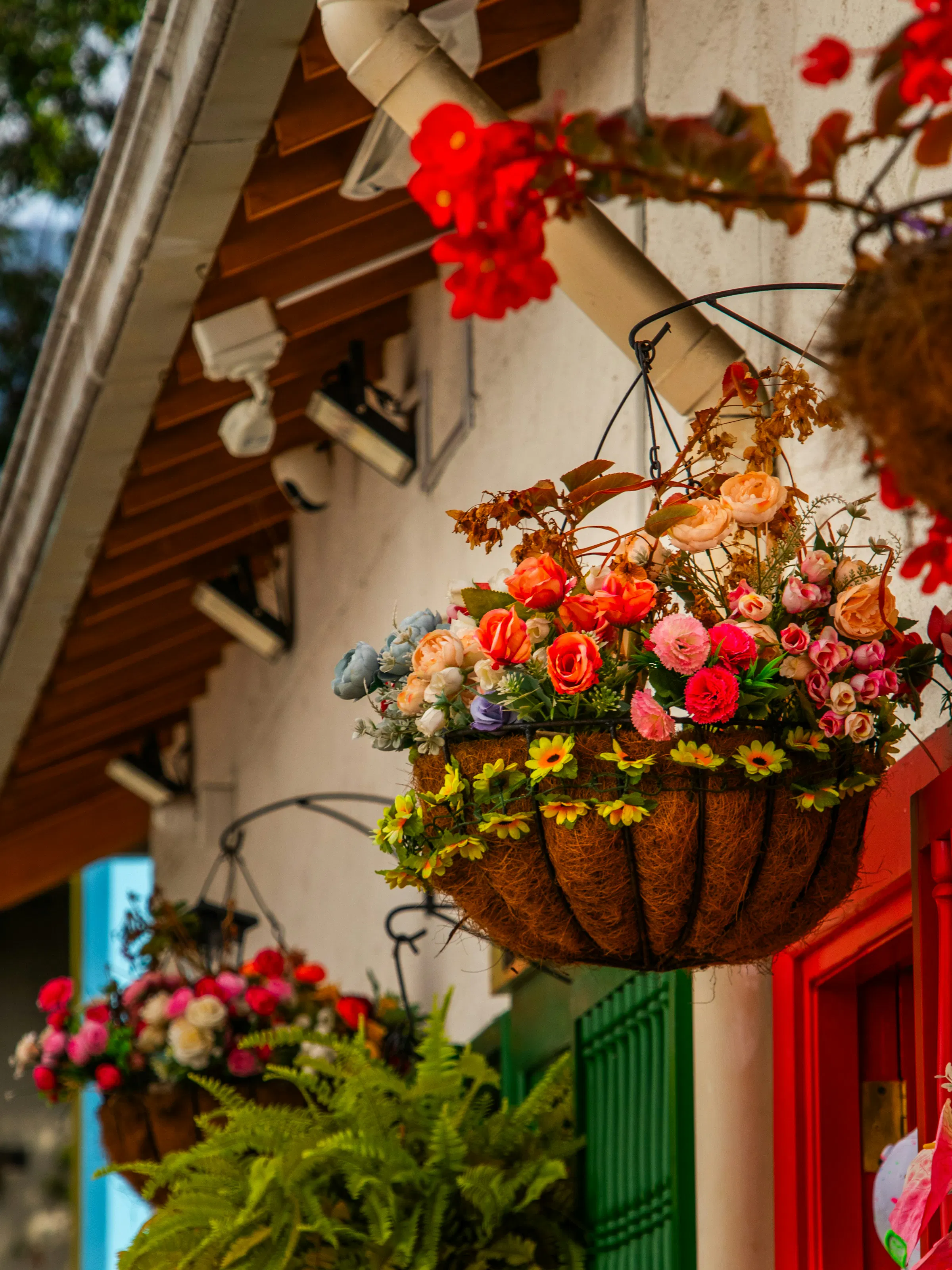 Colorful hanging flower baskets decorating a balcony in Medellín, Colombia