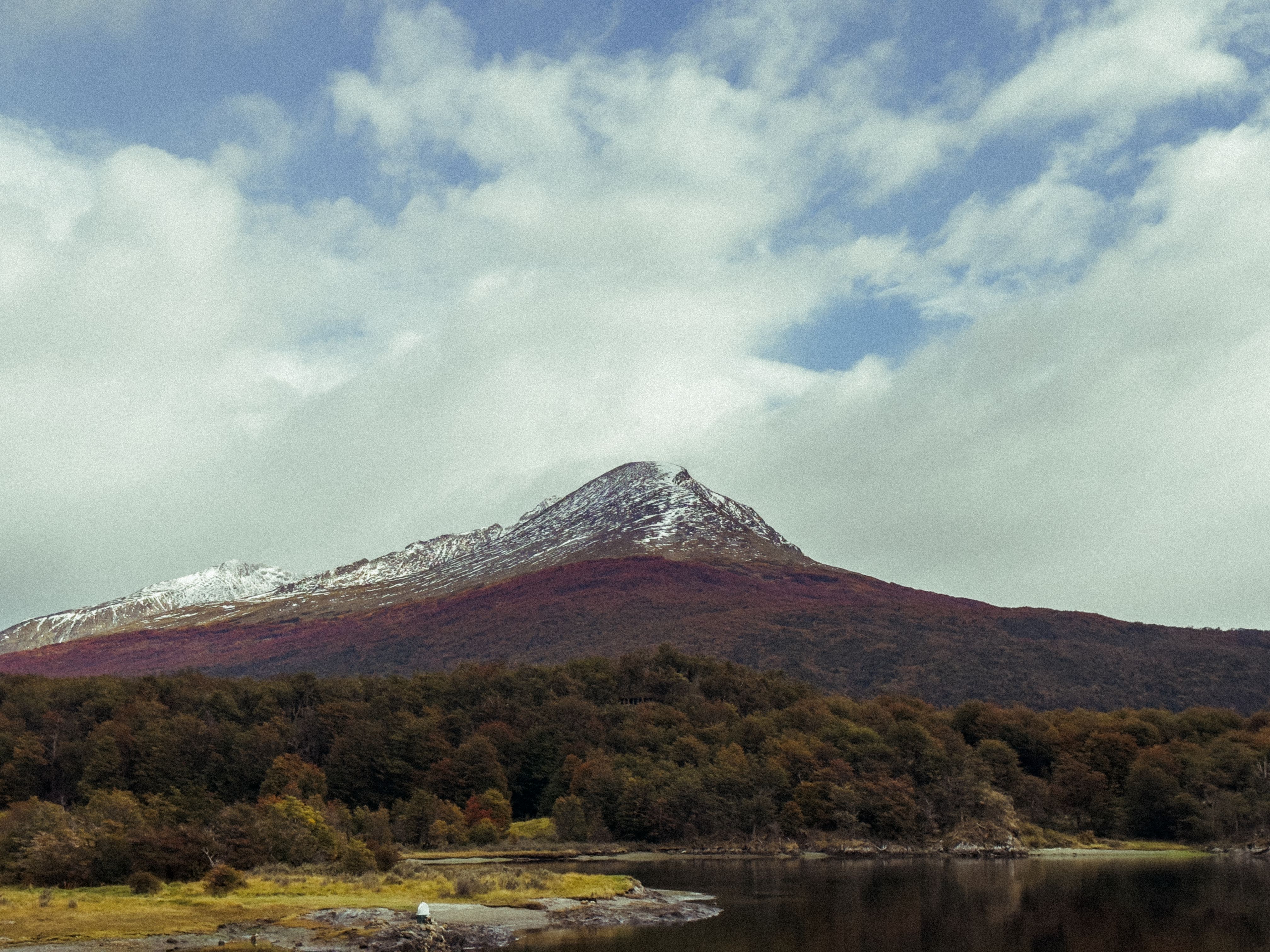 Snow-capped peak above autumn lenga beech forest, Tierra del Fuego