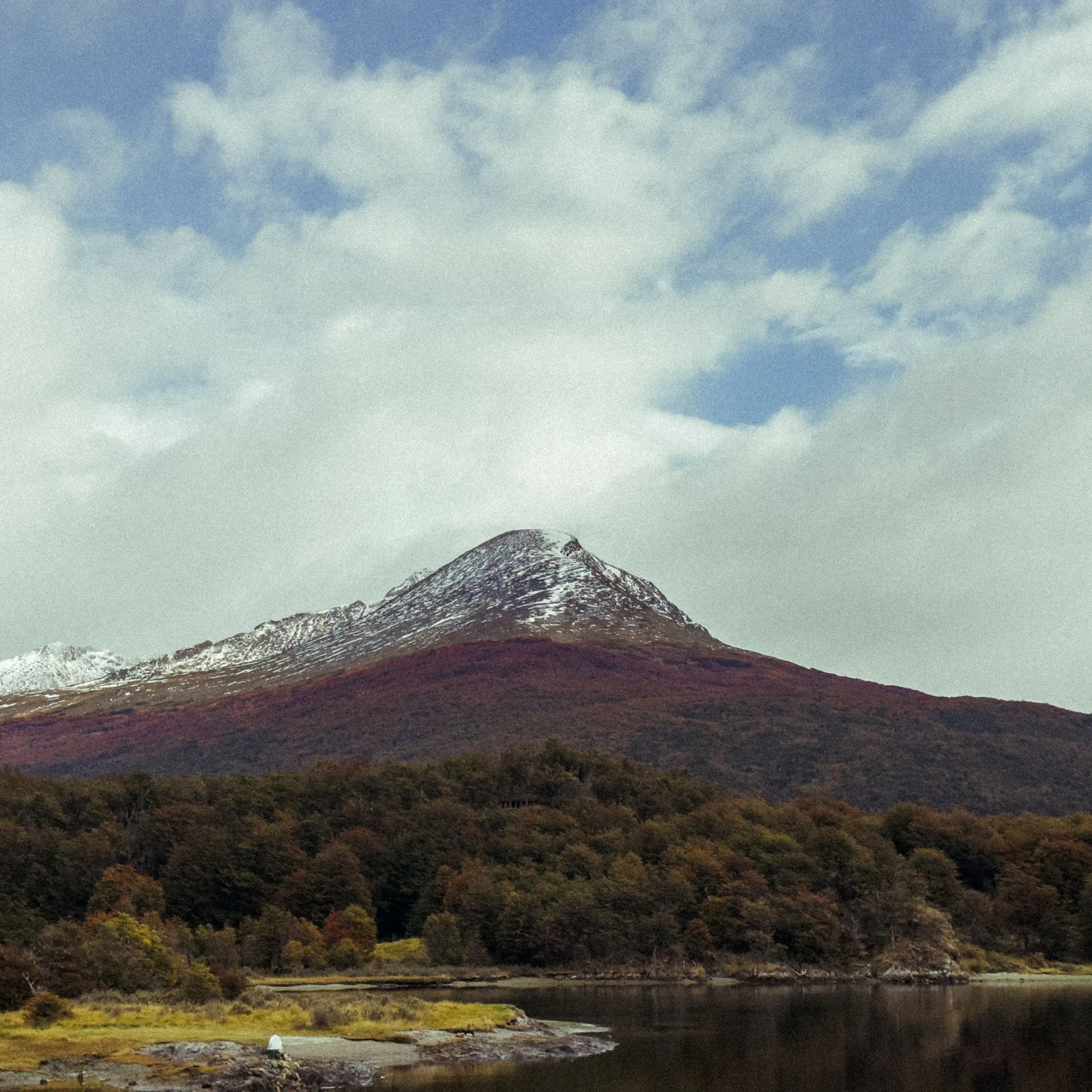 Snow-capped peak above autumn lenga beech forest, Tierra del Fuego