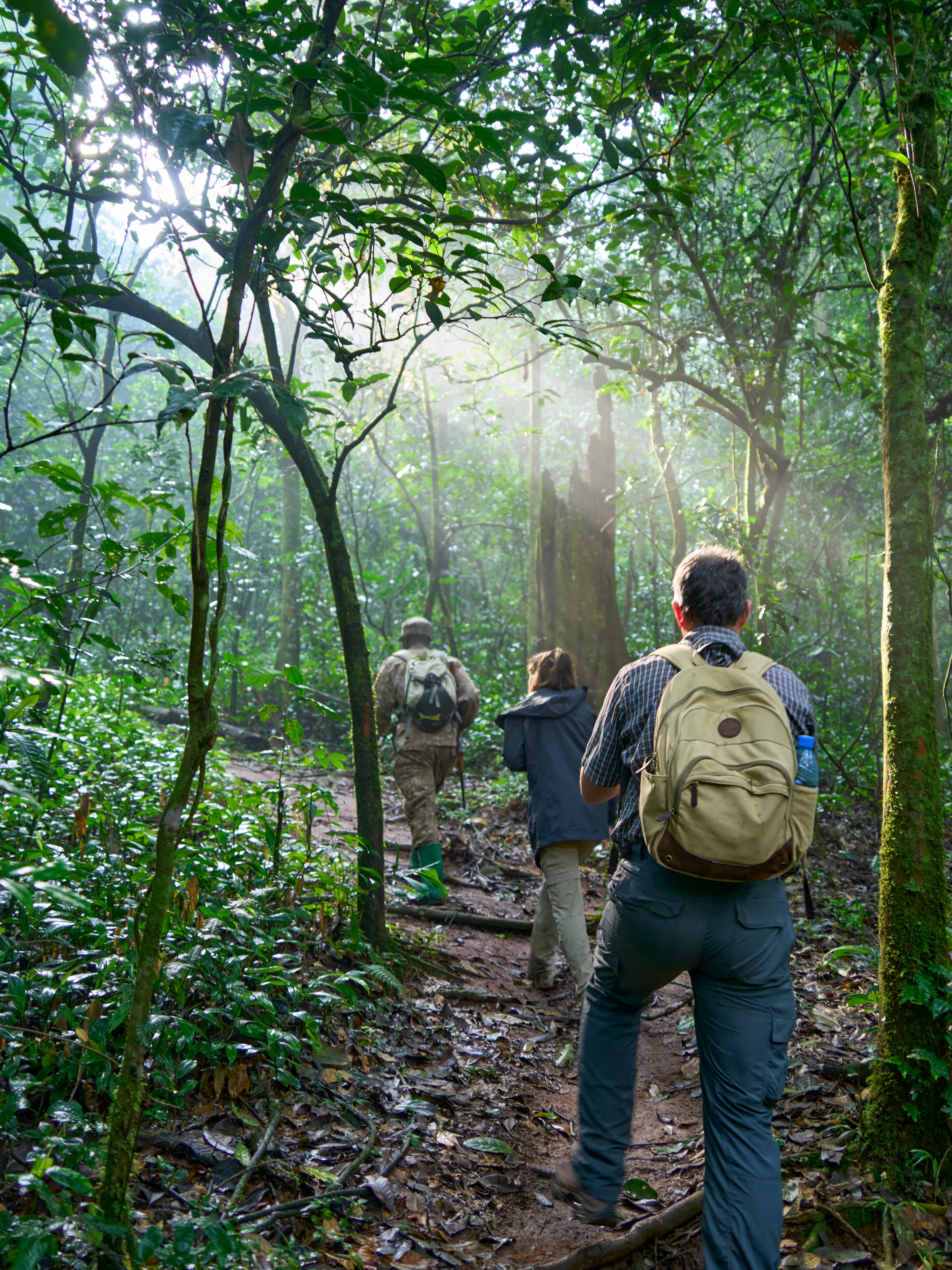 Tourists trekking through the forest with a ranger in Kibale National Park, Uganda