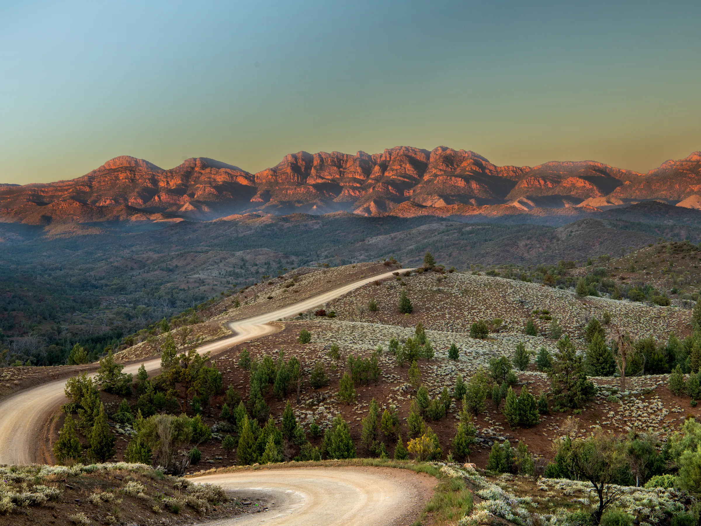 Winding outback road toward Flinders Ranges at sunset, South Australia