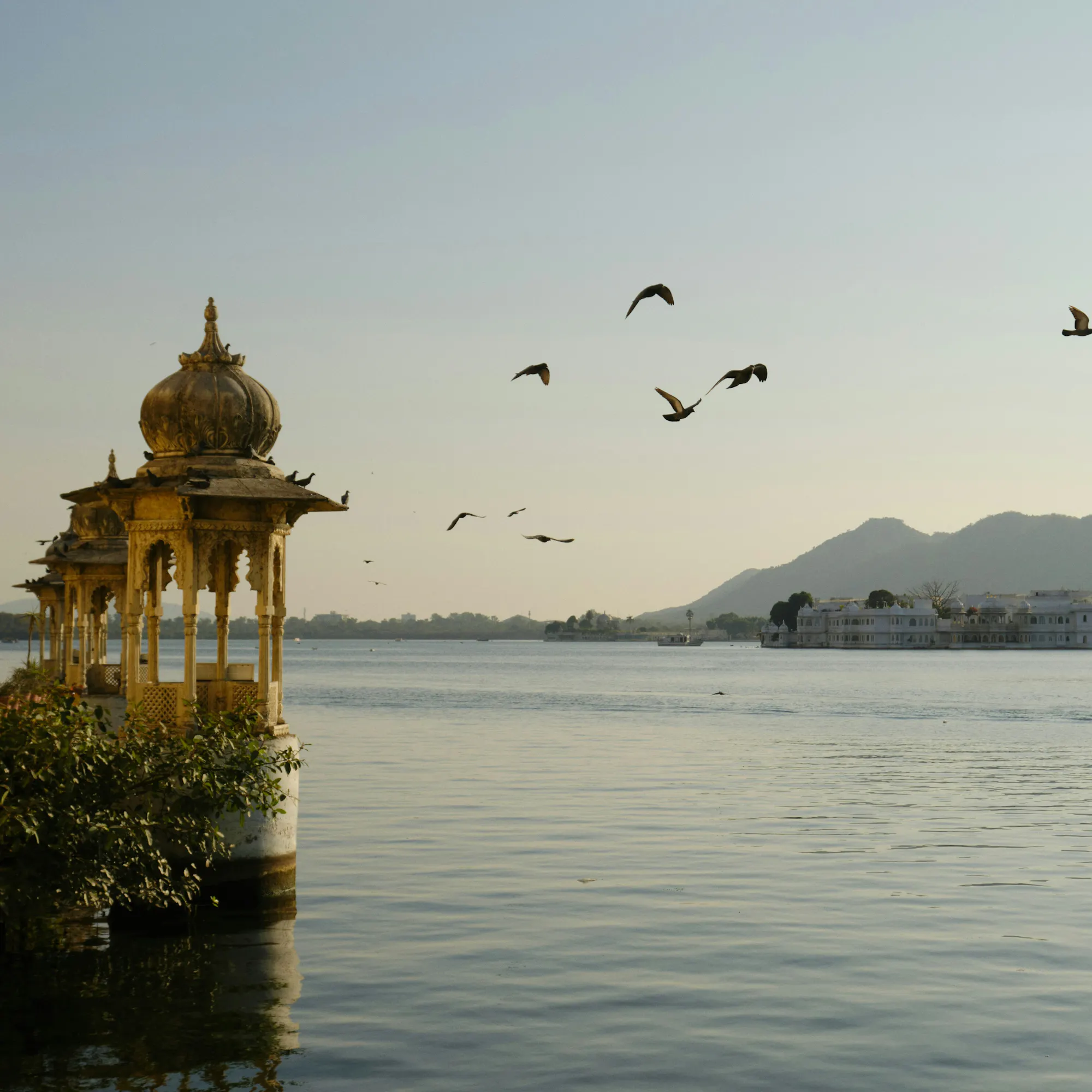 Marble chattri and Lake Palace at sunrise, Lake Pichola Udaipur