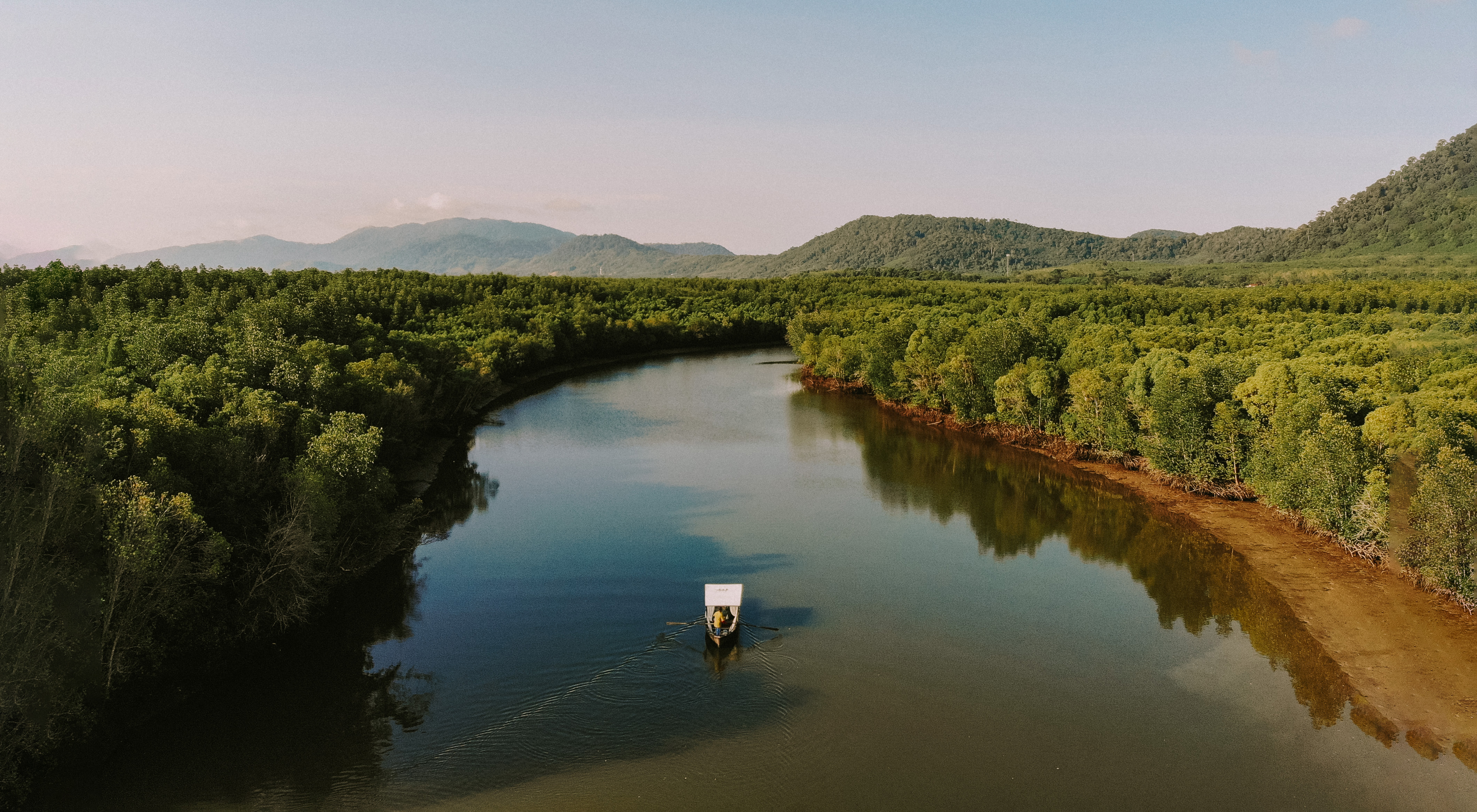 Lone boat navigating mangrove river through lush jungle, Thailand