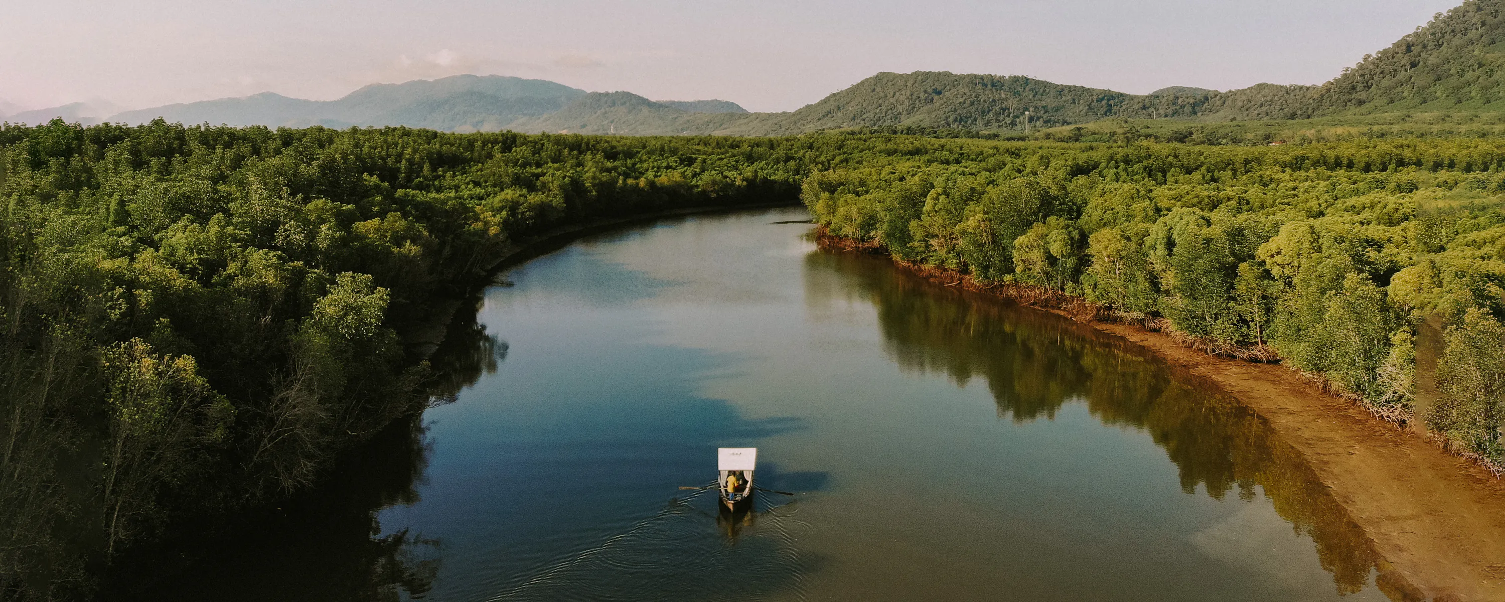 Lone boat navigating mangrove river through lush jungle, Thailand