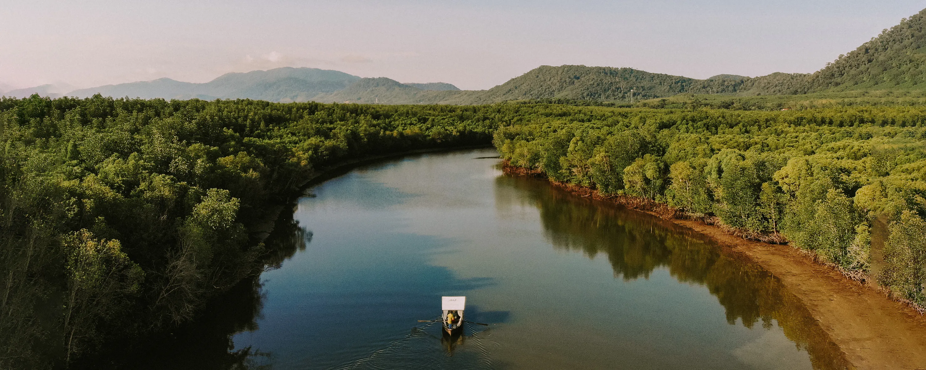 Lone boat navigating mangrove river through lush jungle, Thailand