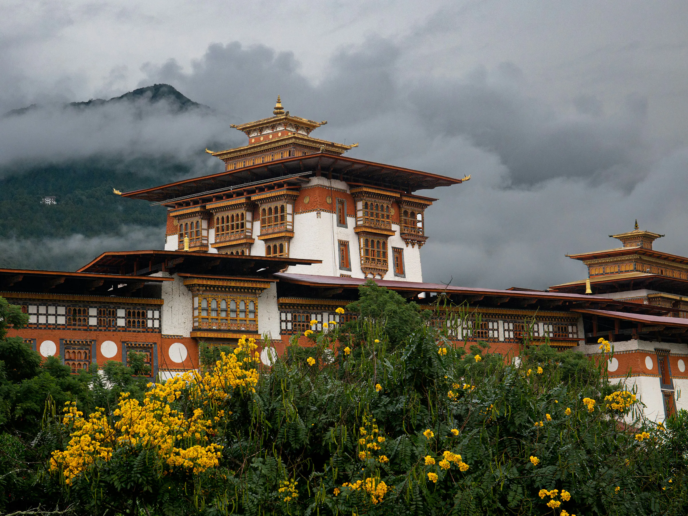 Punakha Dzong fortress amid yellow flowers and misty mountains, Bhutan