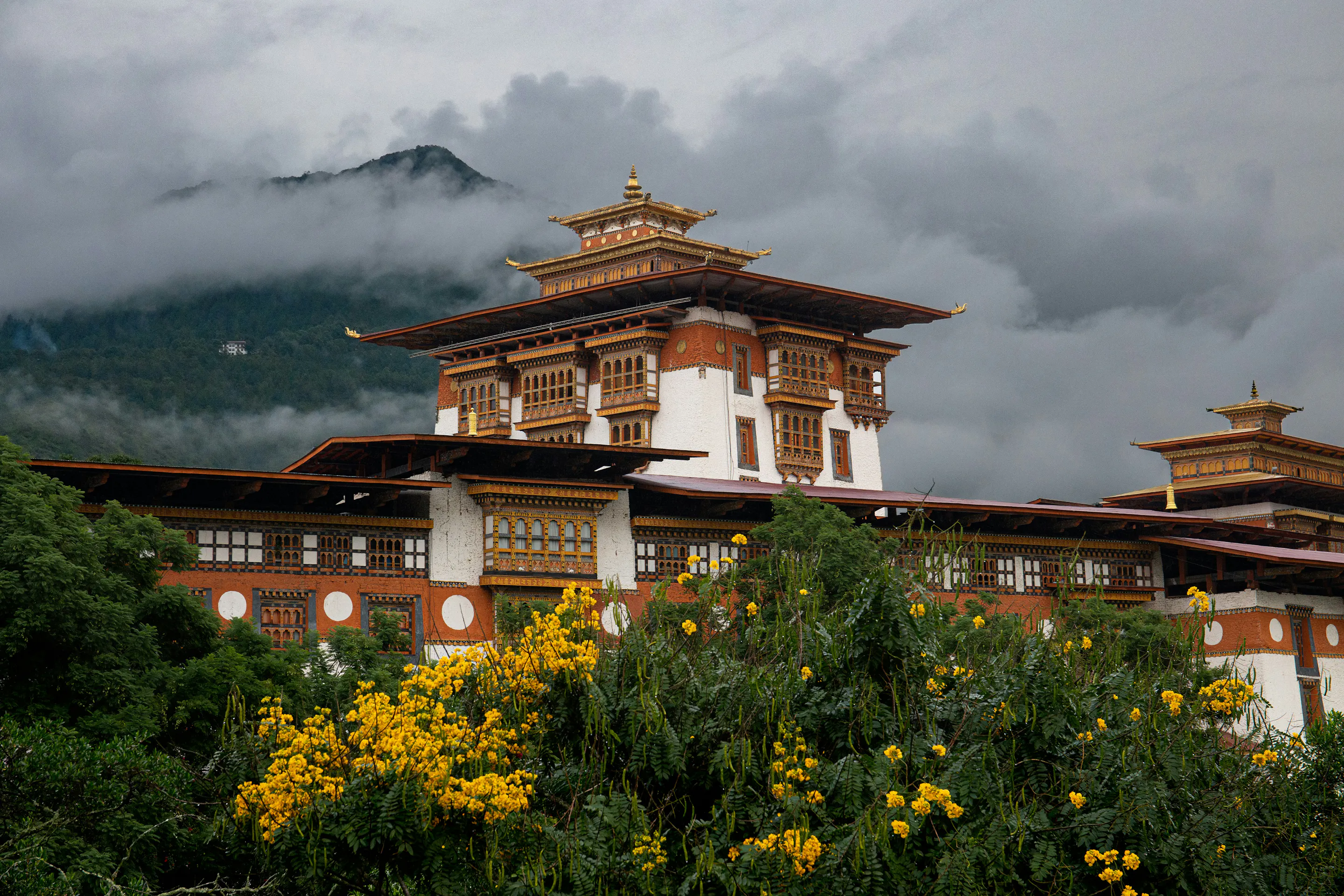 Punakha Dzong fortress amid yellow flowers and misty mountains, Bhutan