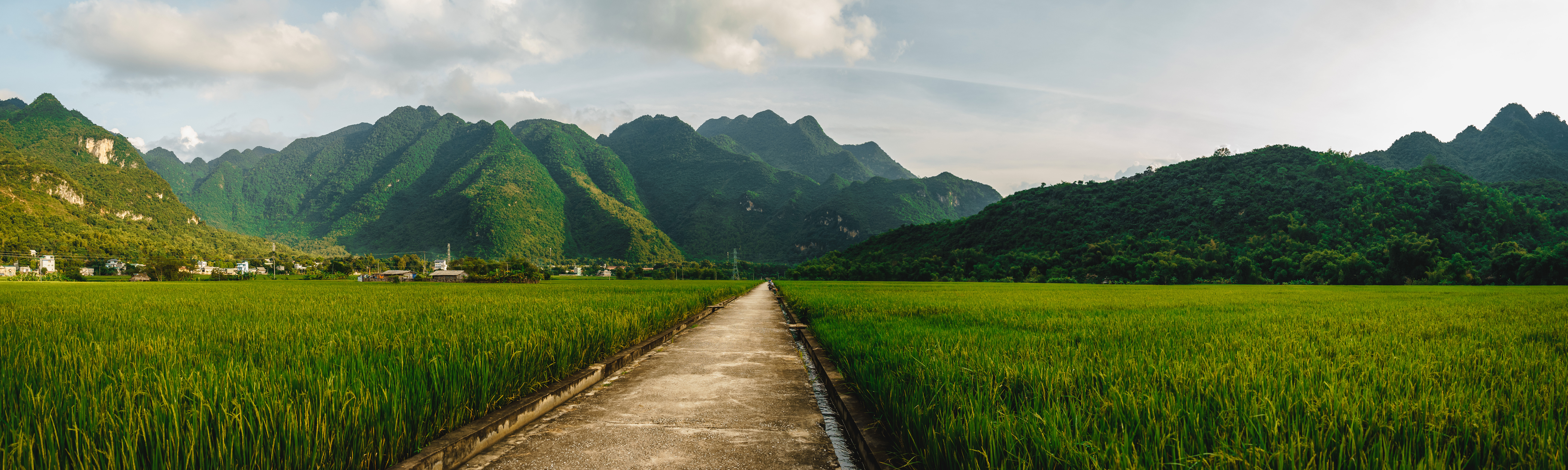 Scenic path through green rice paddies and karst mountains, Vietnam