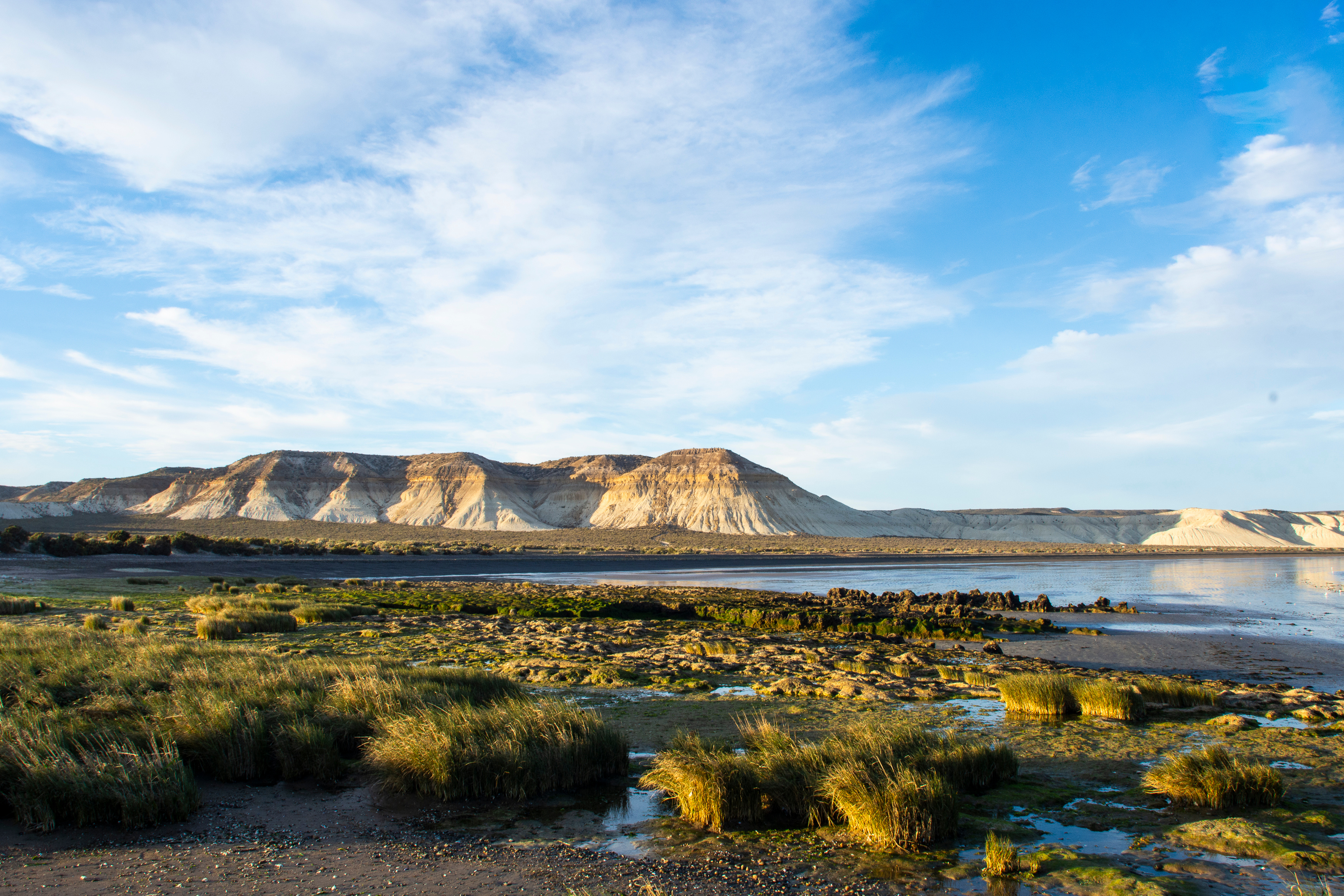 Patagonian steppe wetlands with flat-topped cliffs, Peninsula Valdés Argentina