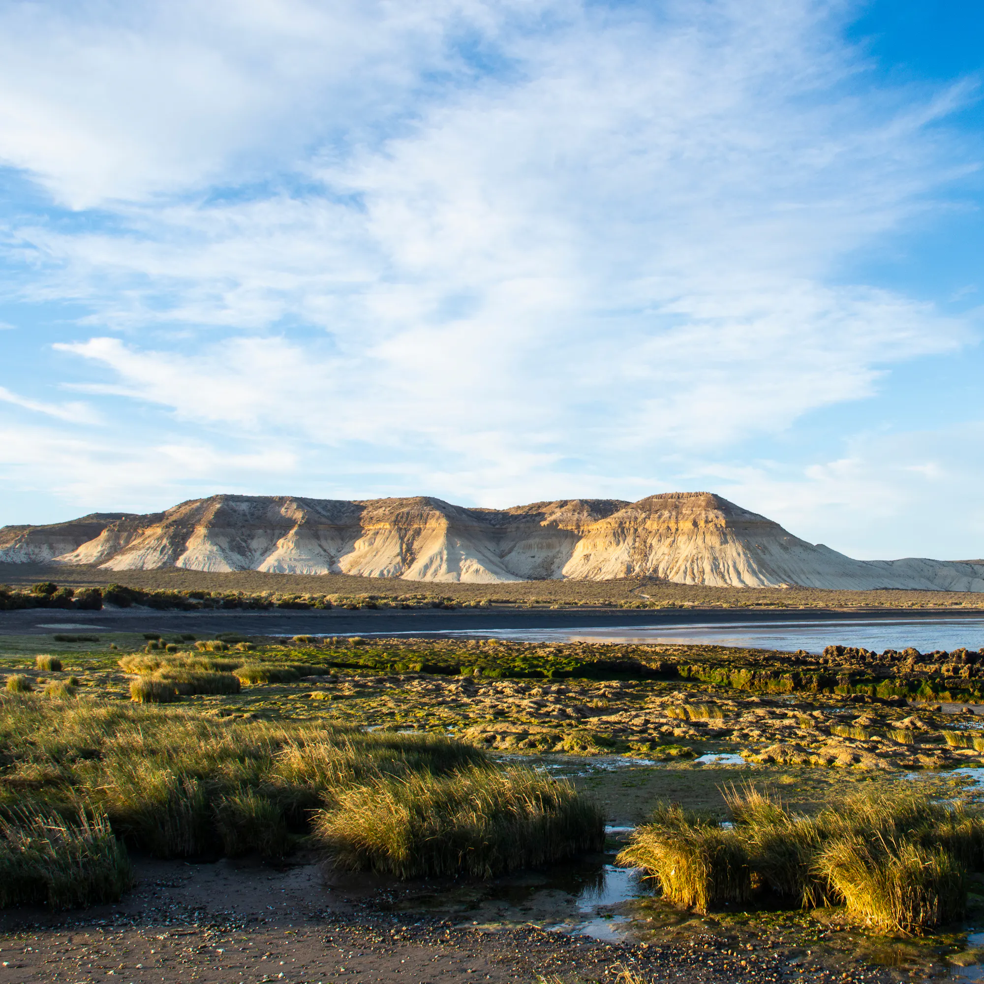 Patagonian steppe wetlands with flat-topped cliffs, Peninsula Valdés Argentina