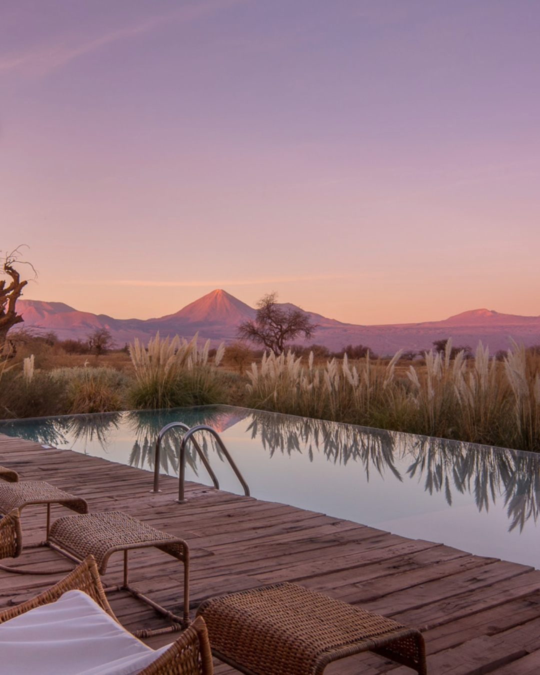 Pampas grass is reflected in a swimming pool as the sky over the Atacama Desert turns pink and purple at dusk.