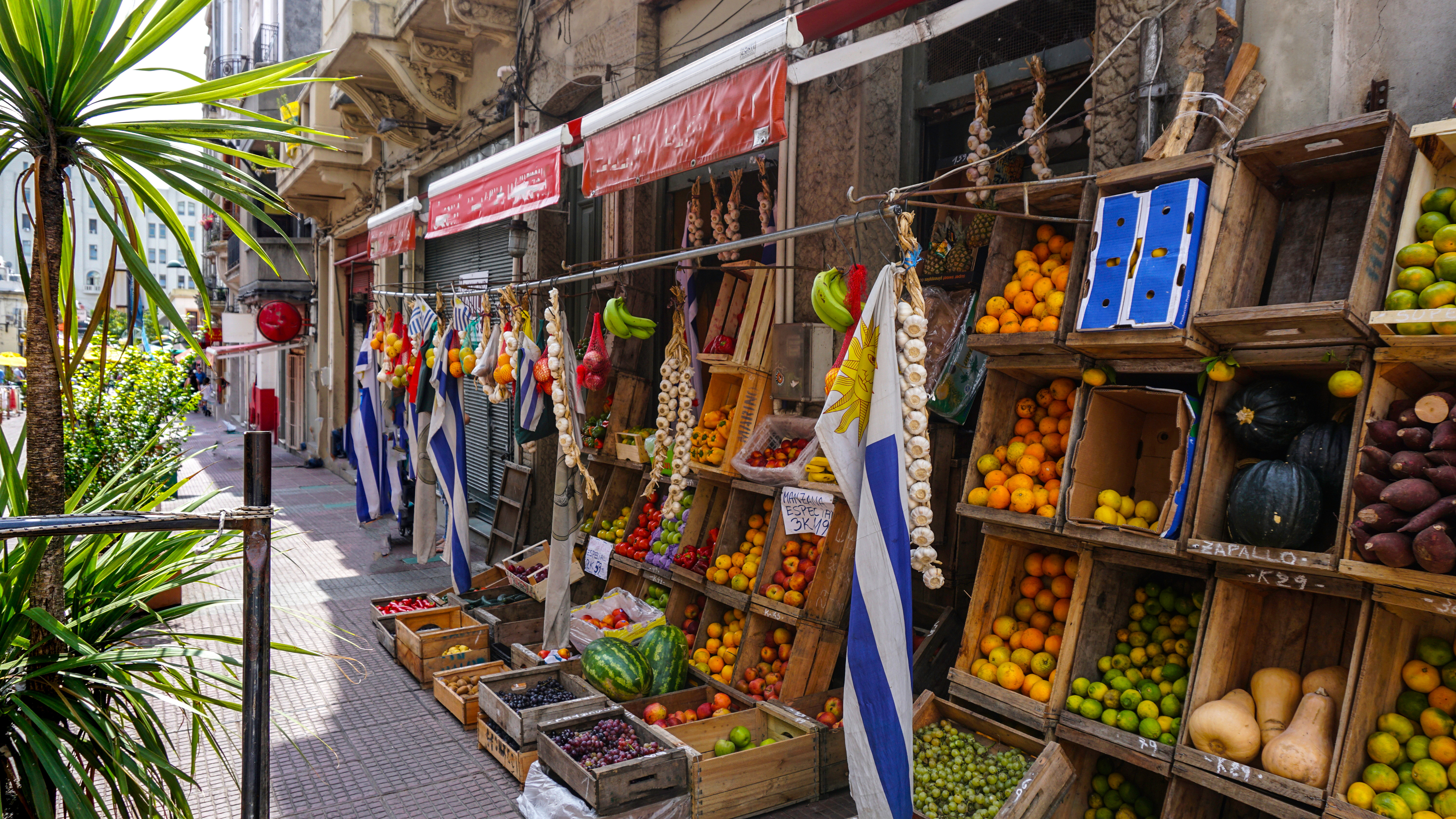 Fresh fruit stand with Uruguayan flags on a Montevideo street in Uruguay