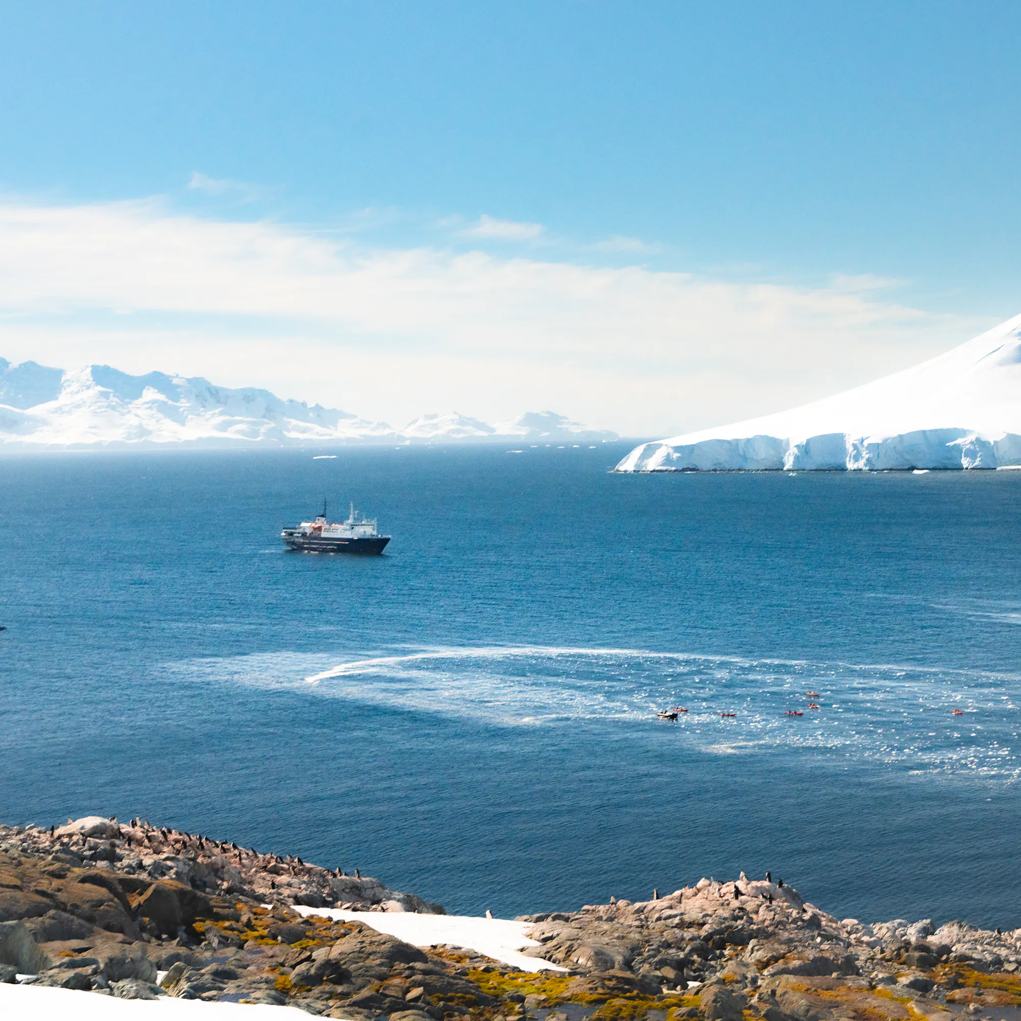 Expedition cruise ship and kayakers near icebergs in Antarctica