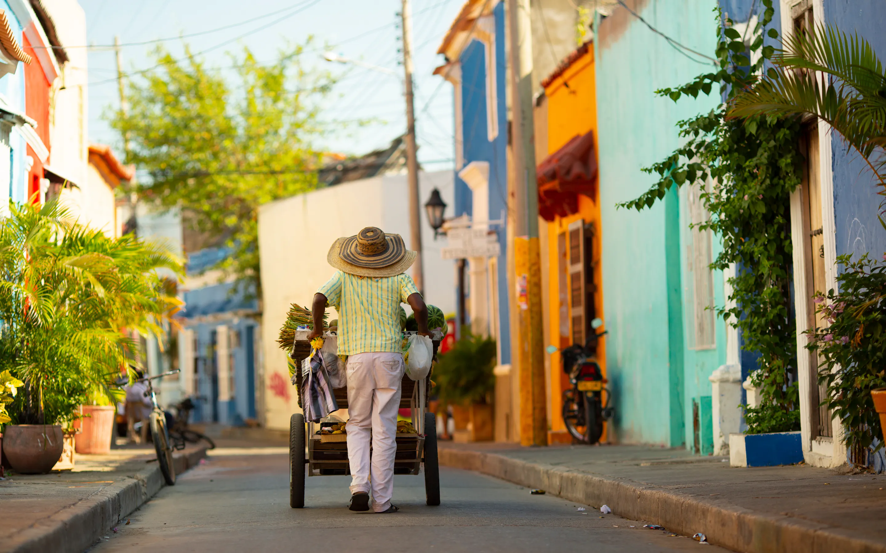 Person walks along a colorful street with bright doors and potted plants, while pushing a small cart ahead slowly.