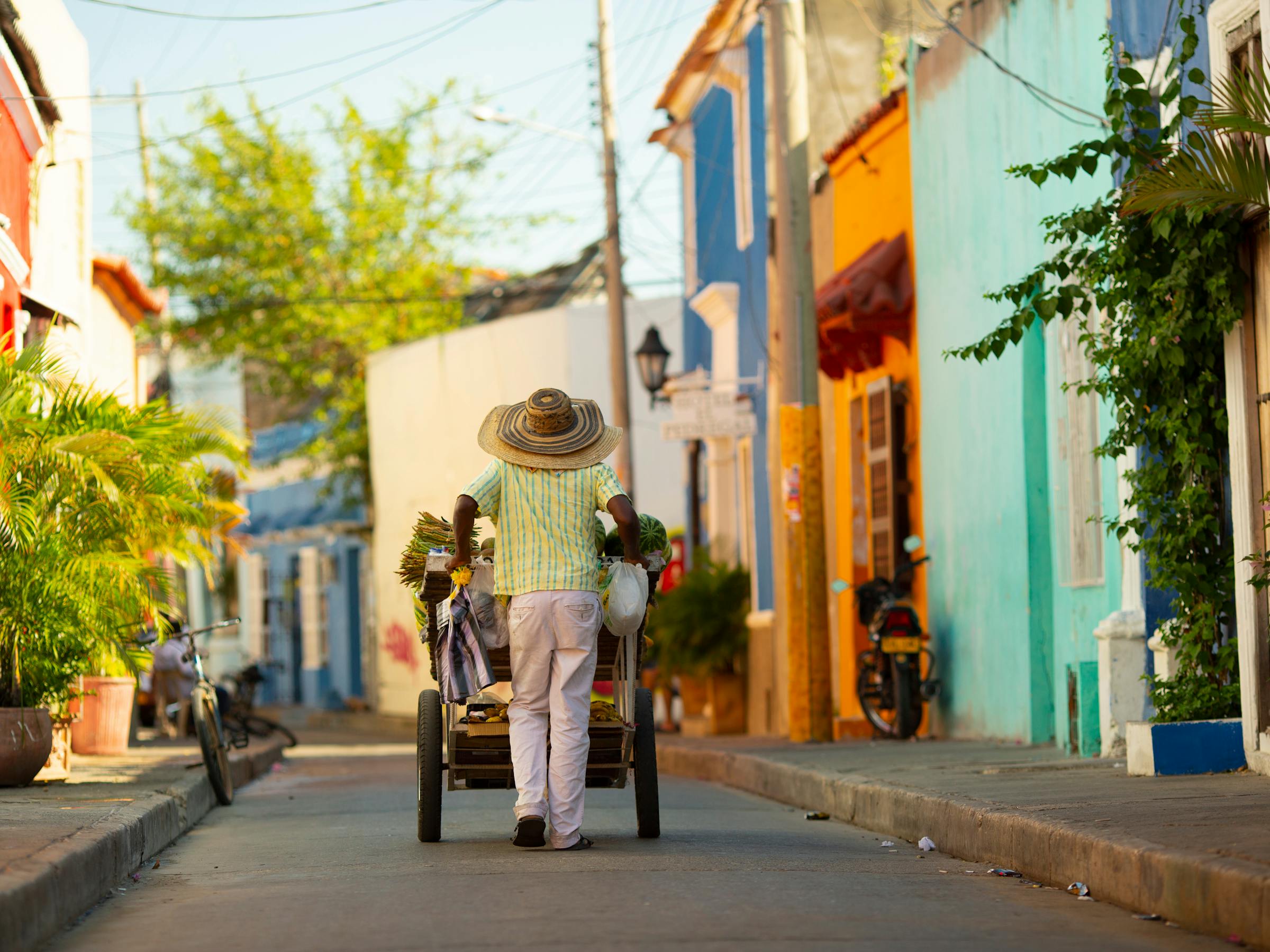 Person walks along a colorful street with bright doors and potted plants, while pushing a small cart ahead slowly.