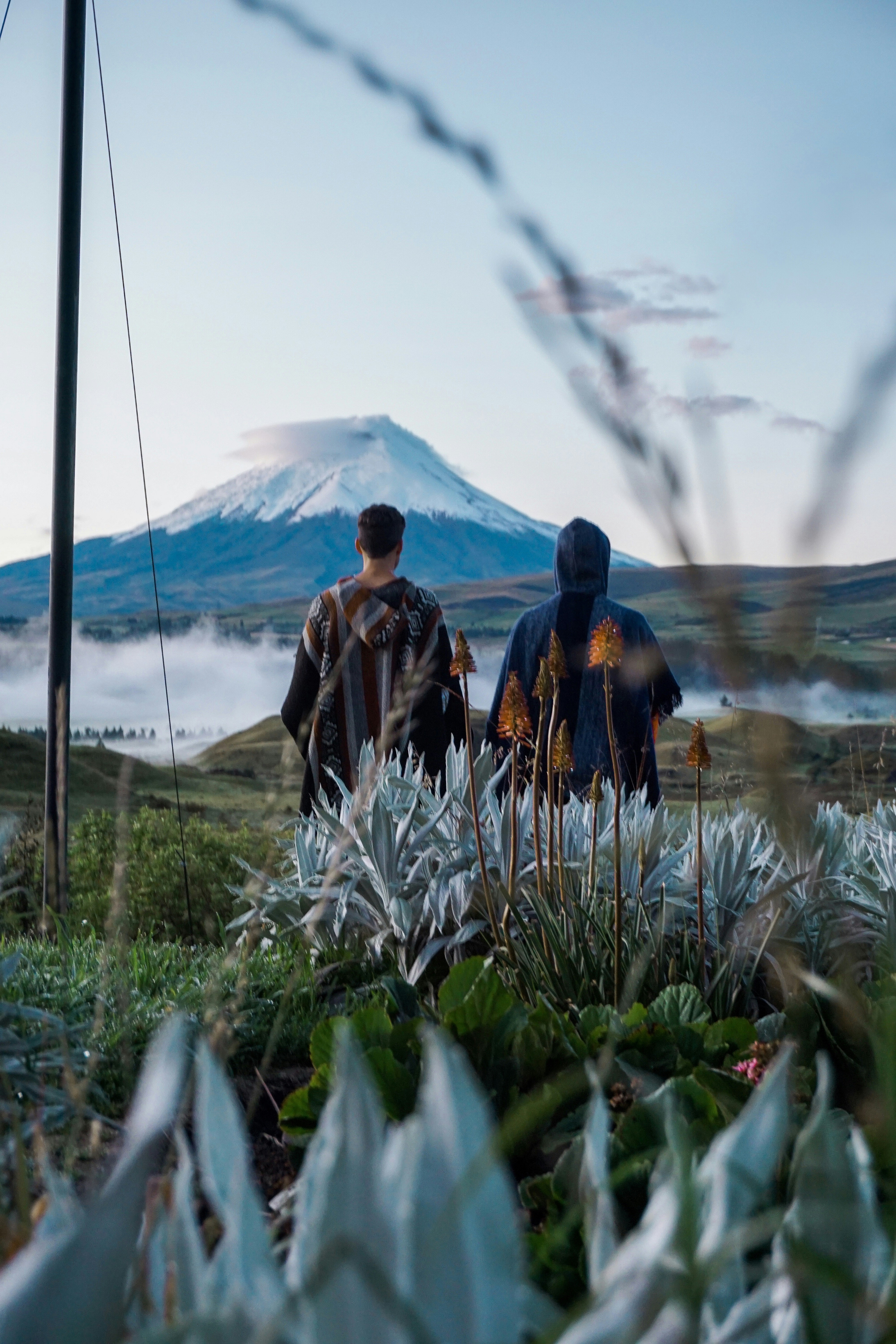 Two people walk through tall plants on a mountain plain, with sharp peaks rising behind a blanket of clouds above them.