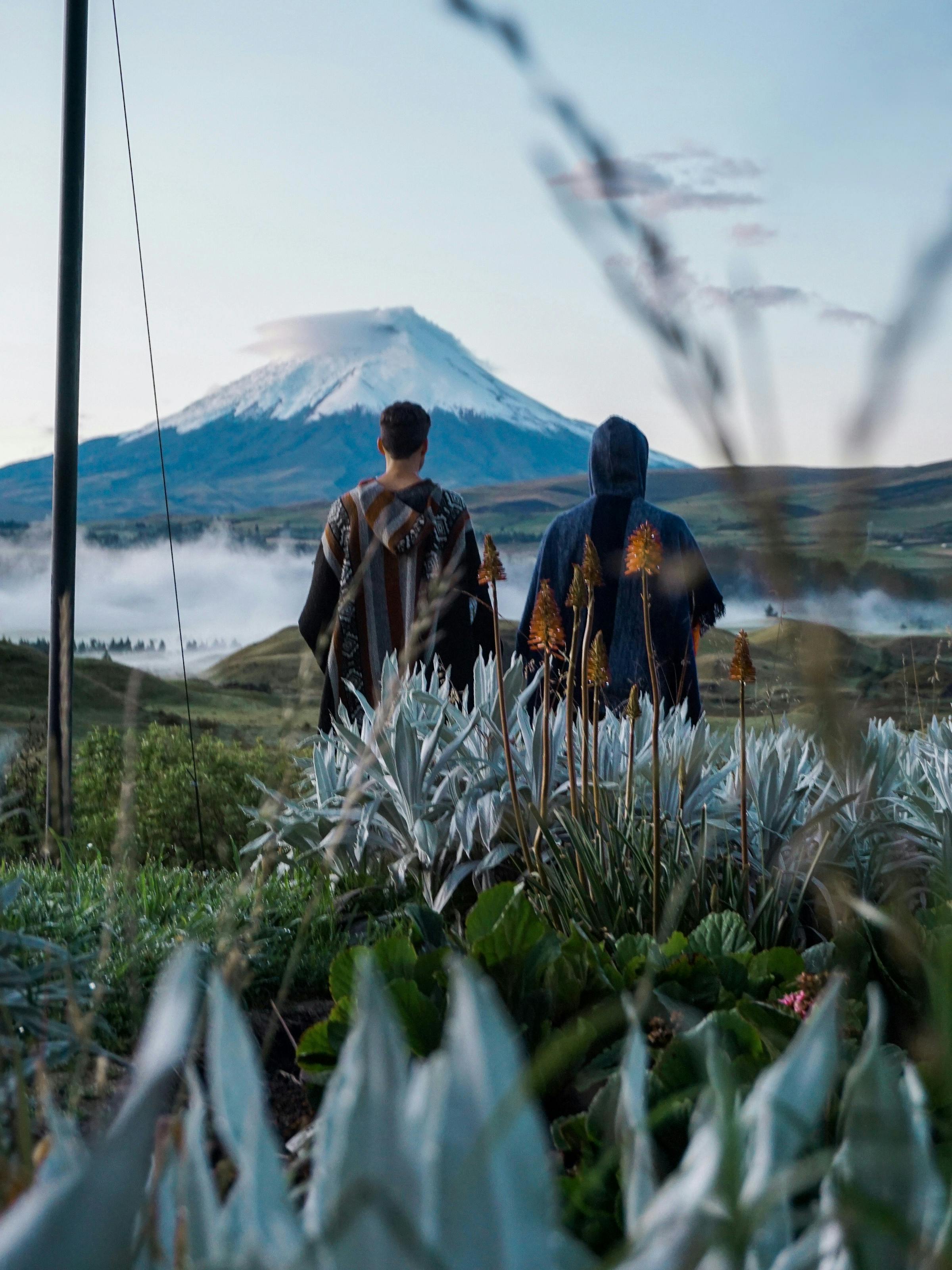 Two people walk through tall plants on a mountain plain, with sharp peaks rising behind a blanket of clouds above them.